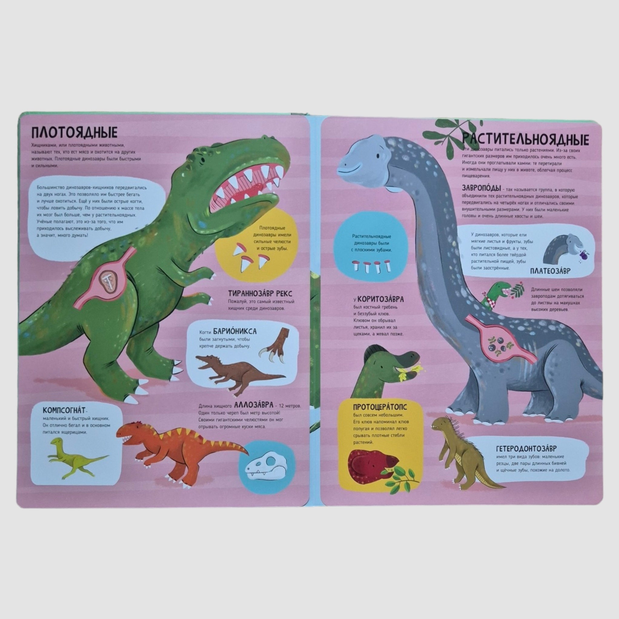 Динозавры. Мои первые открытия