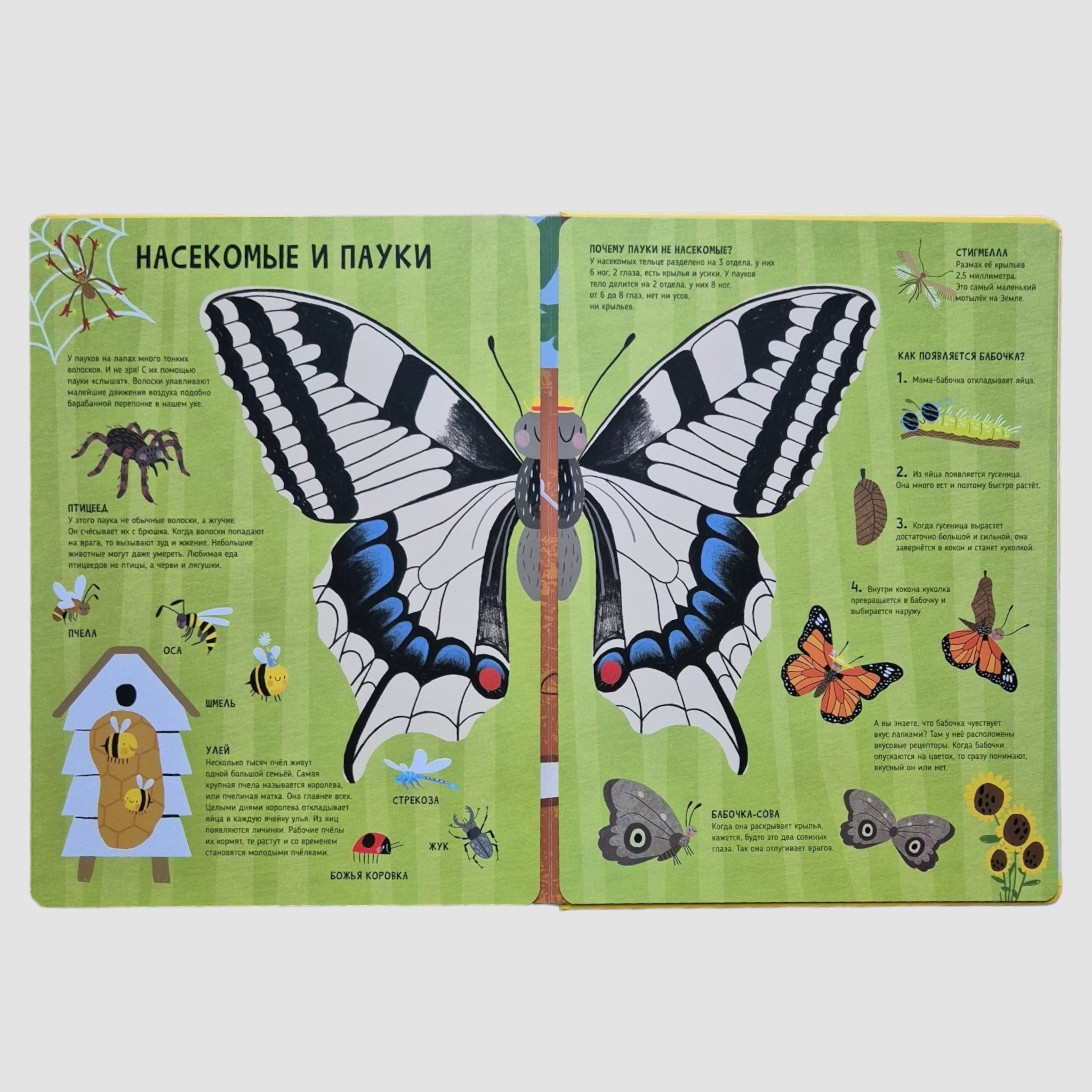 Животные. Мои первые открытия