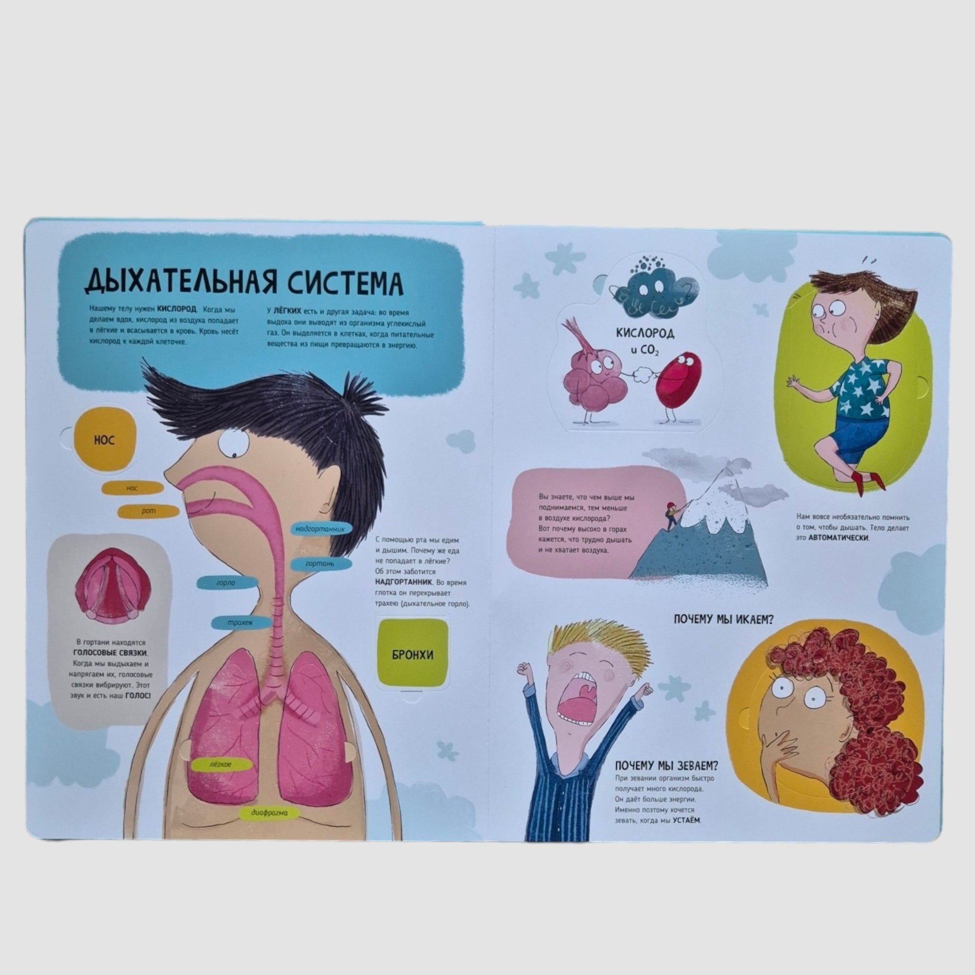 Тело человека. Мои первые открытия