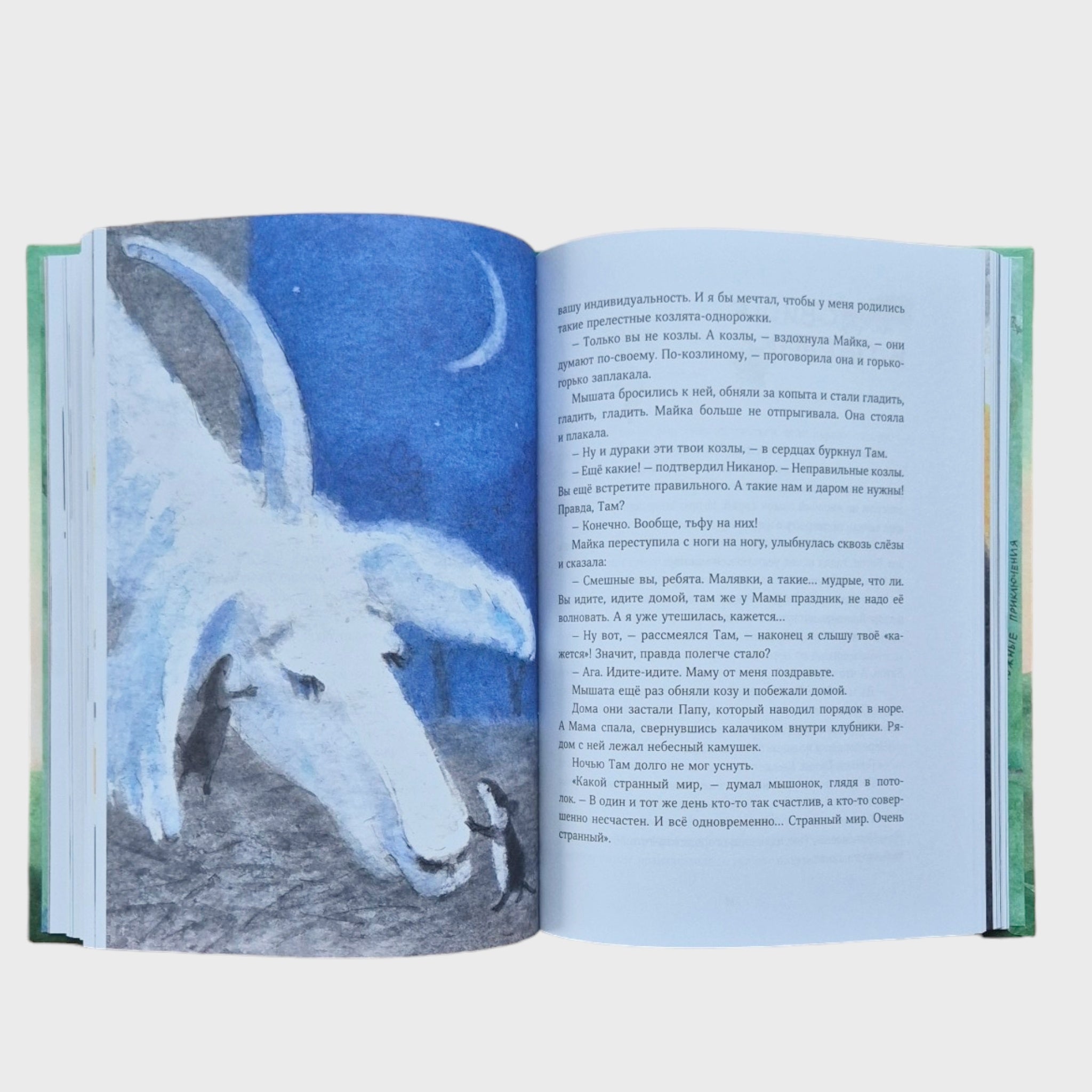 Мышонок, который Там