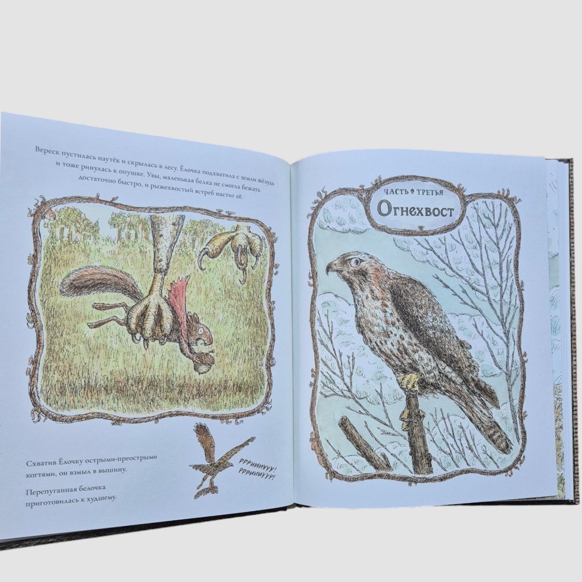 Белка Ёлочка