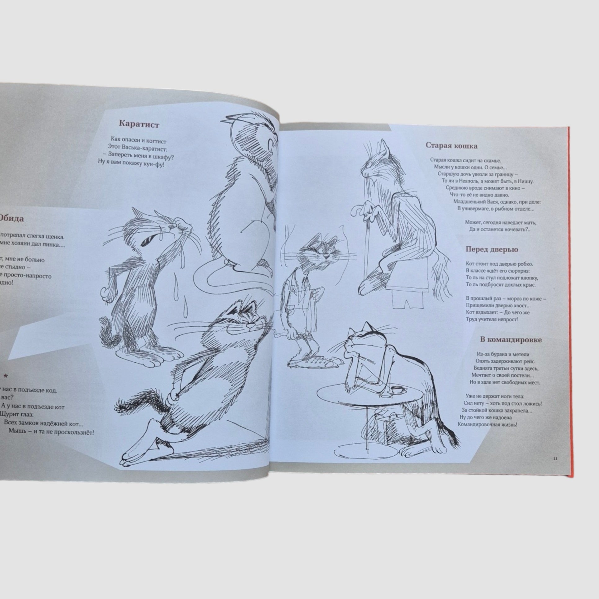 Полное собрание котов