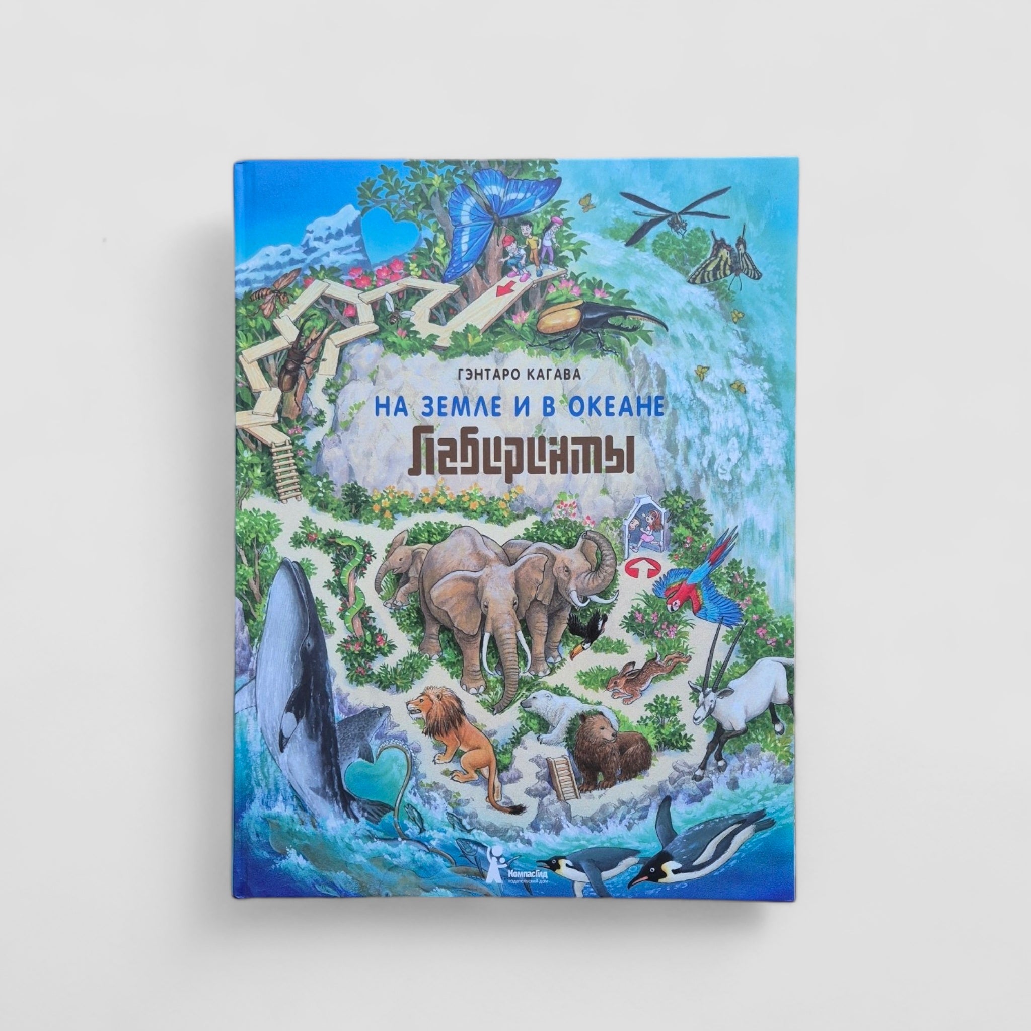 На Земле и в океане. Лабиринты