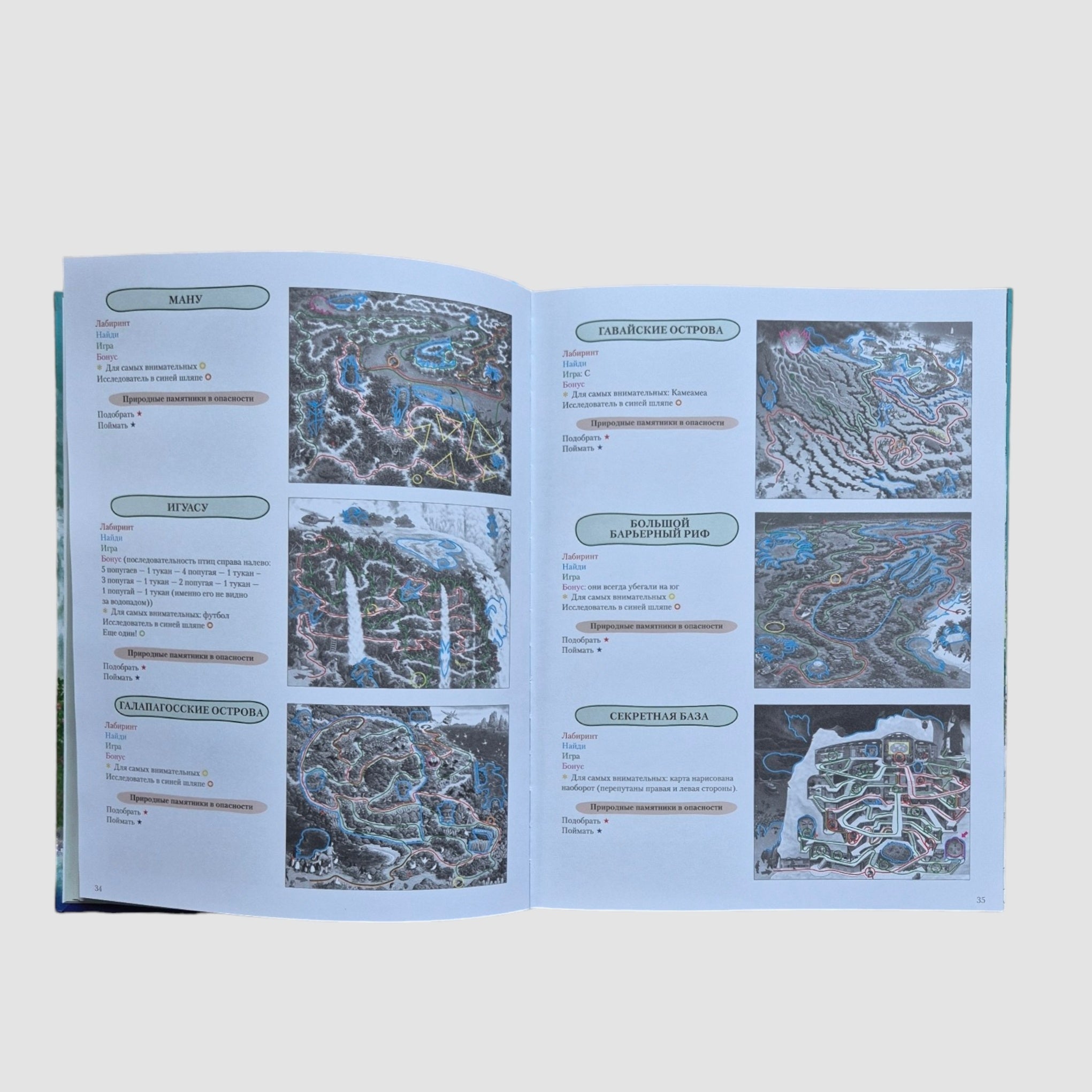 На Земле и в океане. Лабиринты