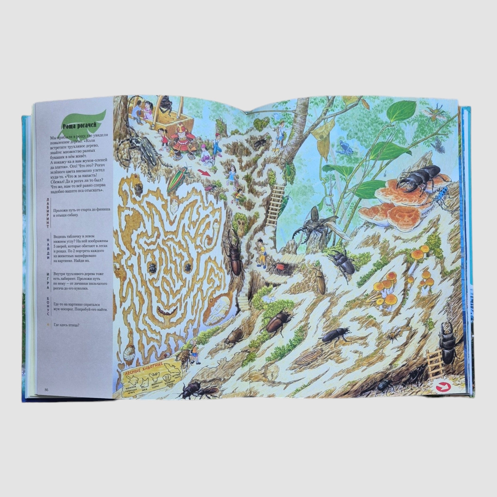 На Земле и в океане. Лабиринты