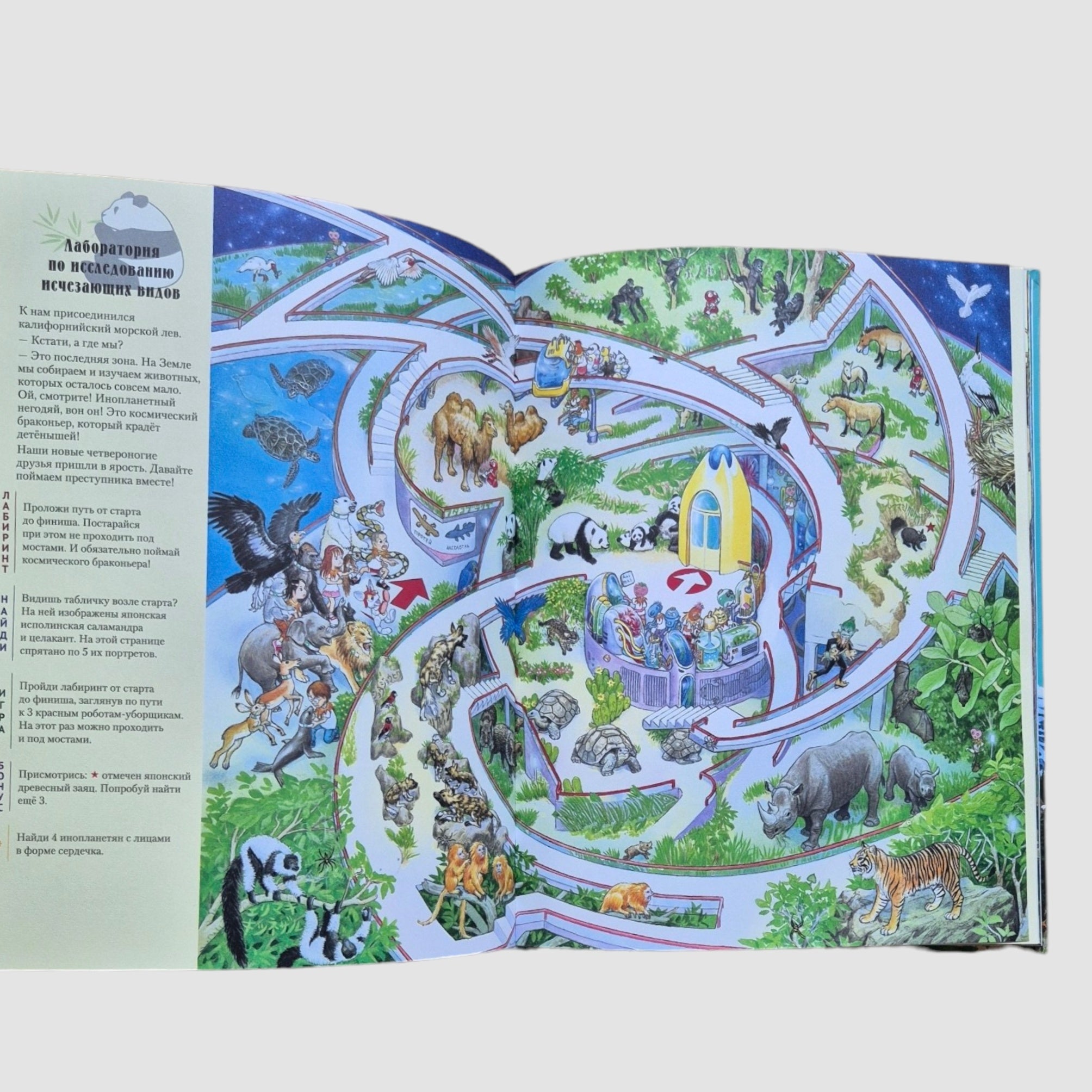 На Земле и в океане. Лабиринты