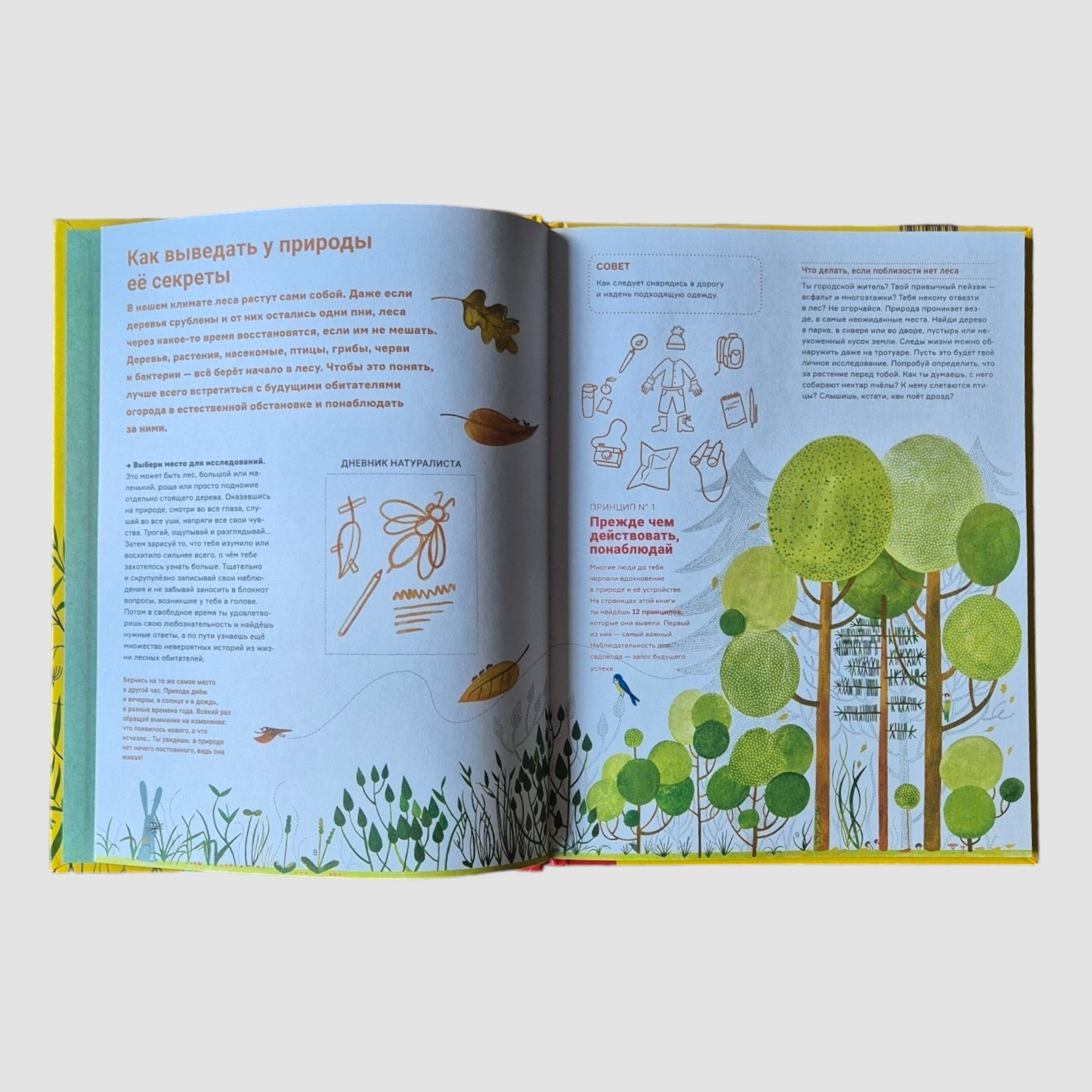 Garden All Year Round. What is Permaculture