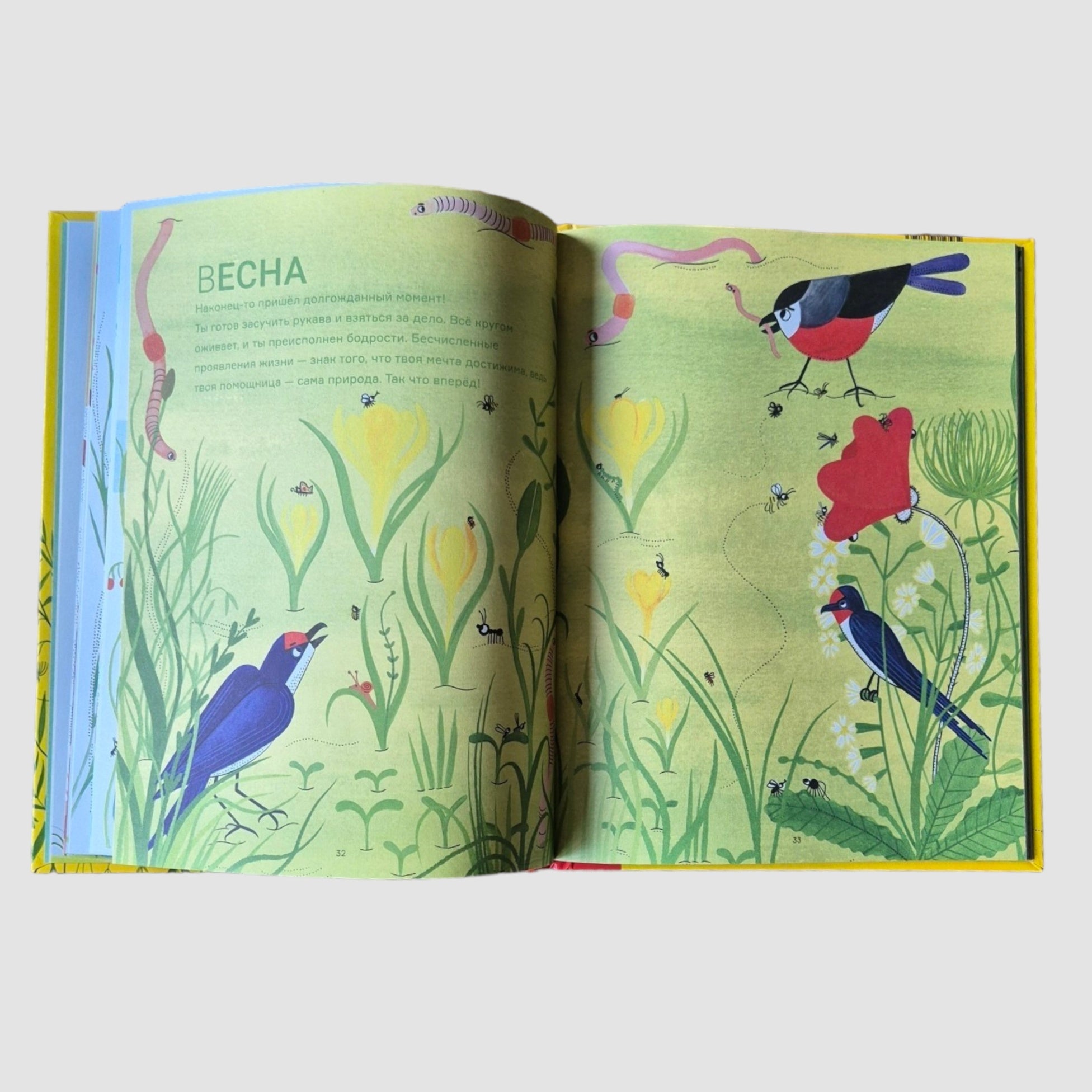 Garden All Year Round. What is Permaculture