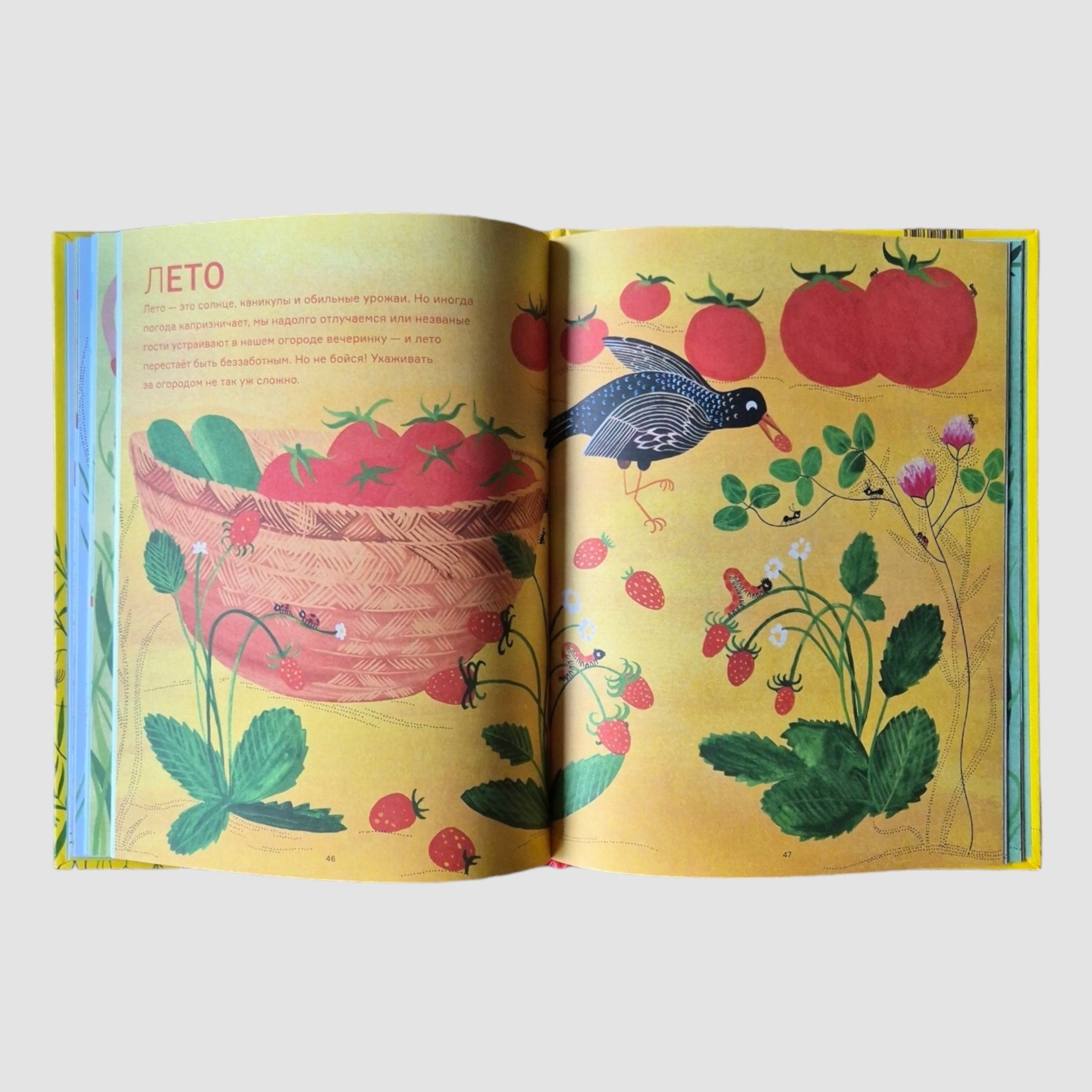 Garden All Year Round. What is Permaculture