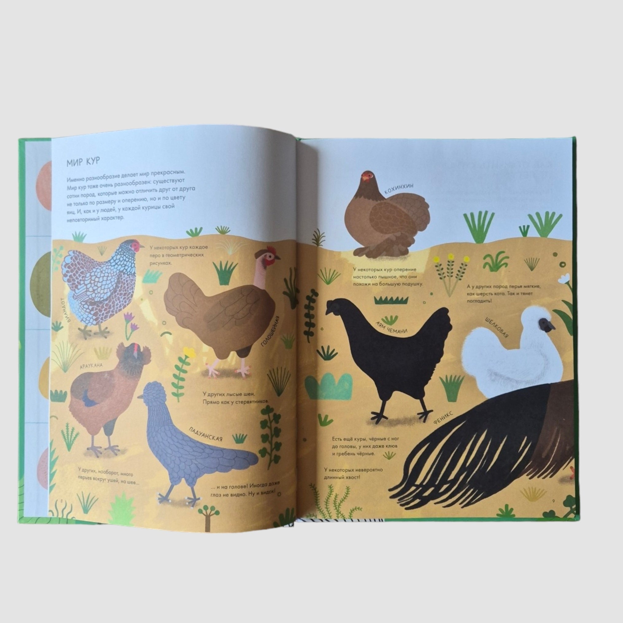 Курицеведение. Дачная энциклопедия