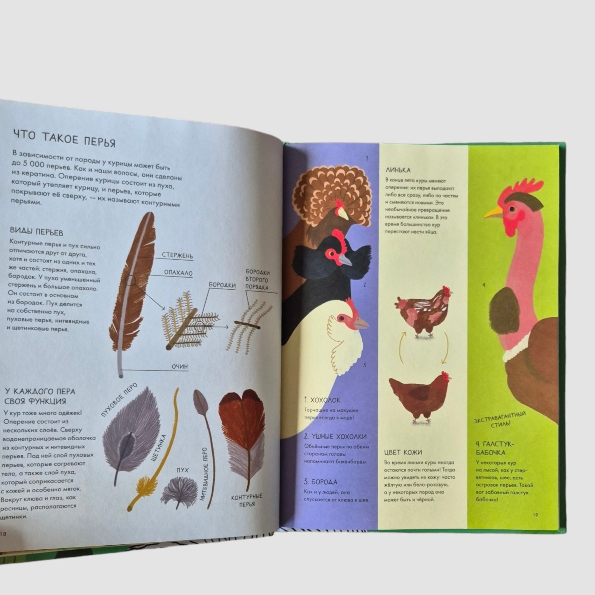 Курицеведение. Дачная энциклопедия