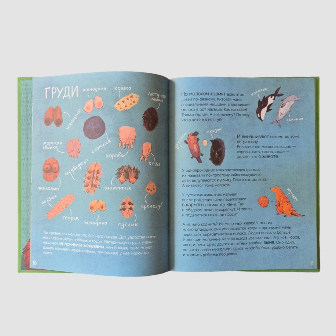 Do all mammals do this?