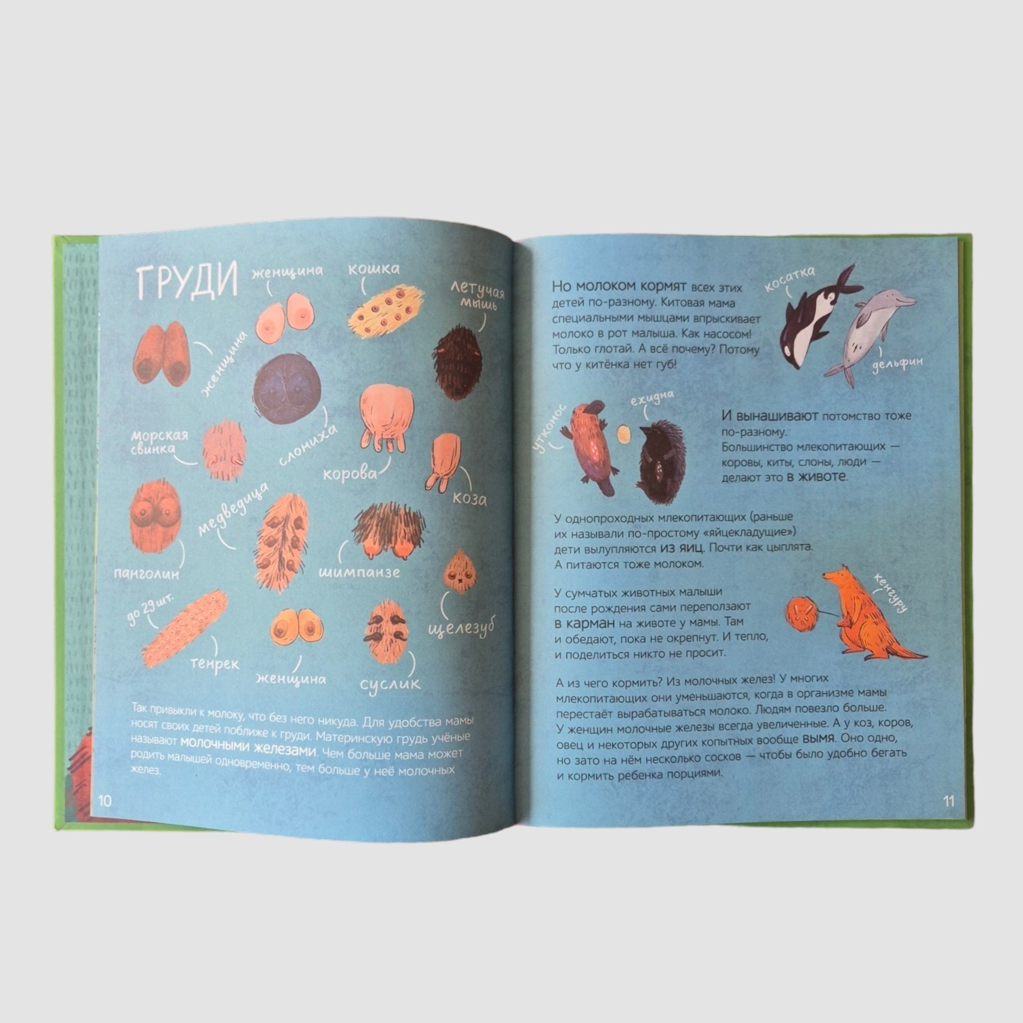 Do all mammals do this?