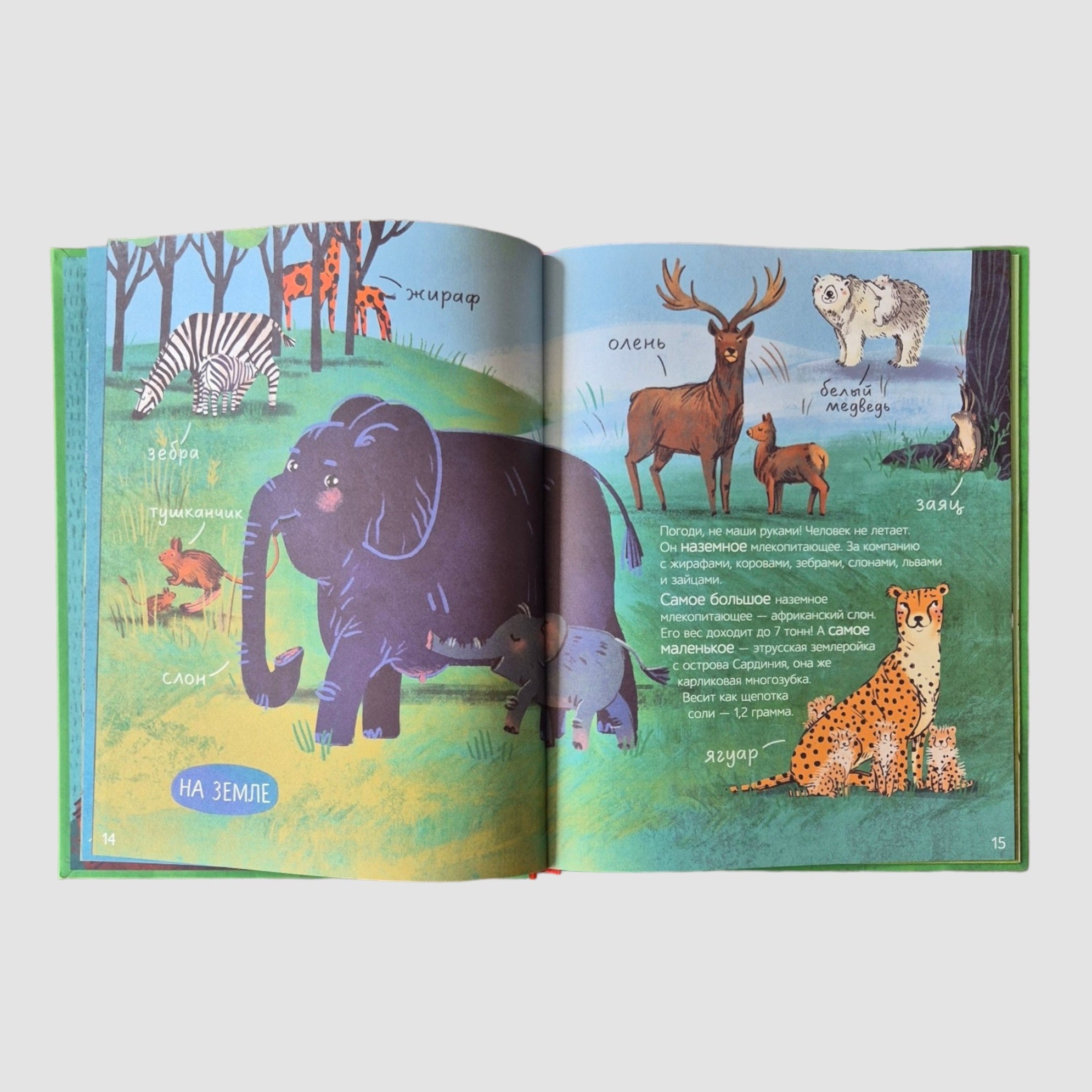 Do all mammals do this?