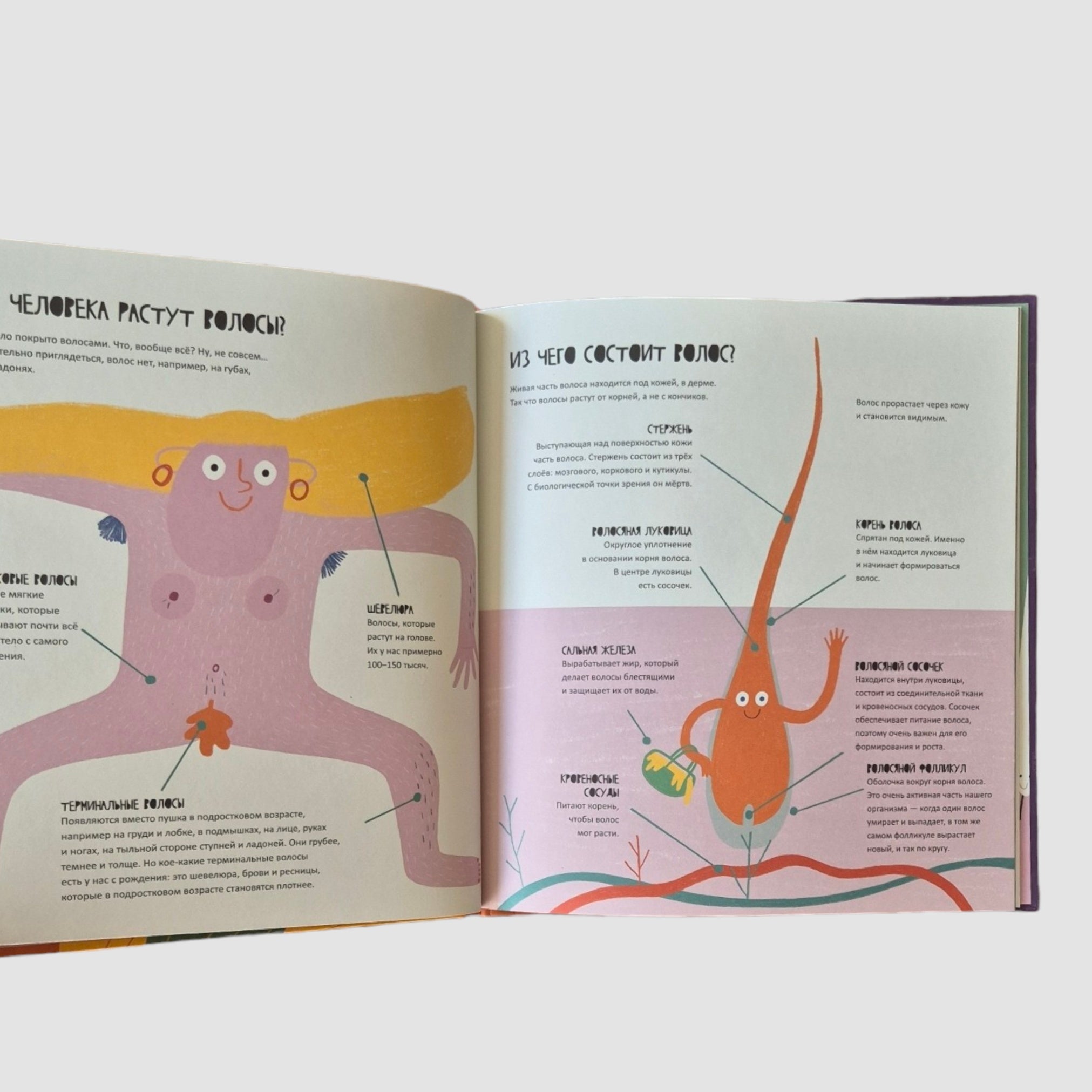 The Secret Life of Hair