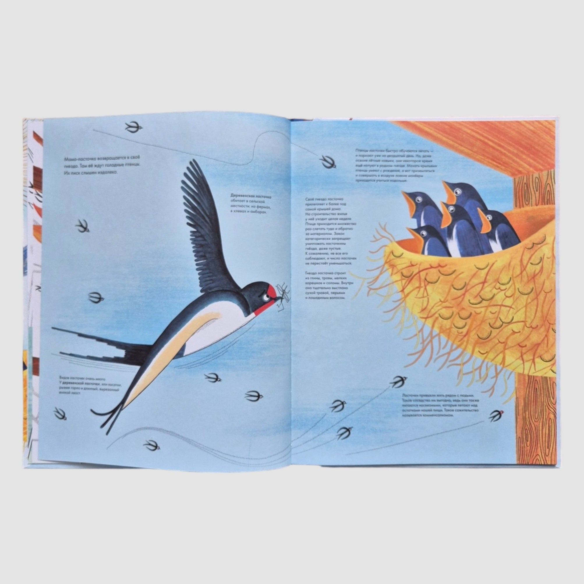 A thousand and one birds