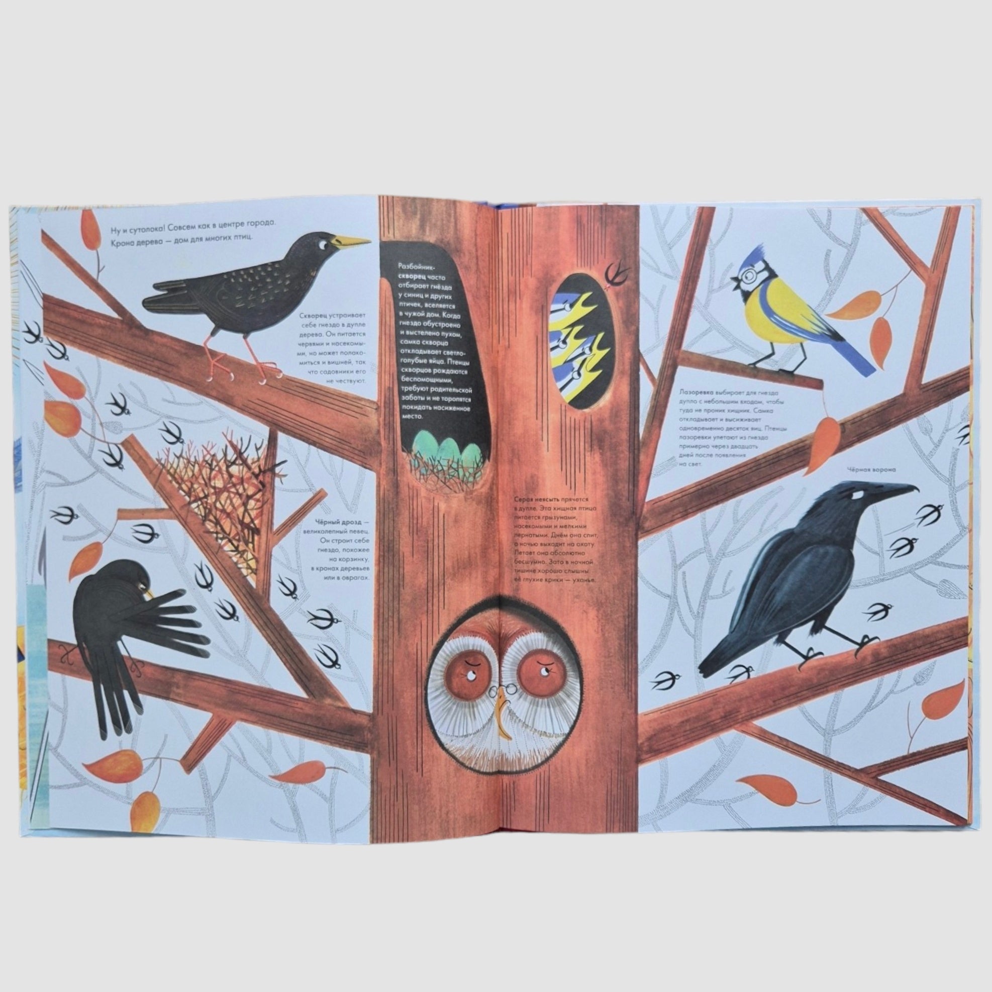 A thousand and one birds