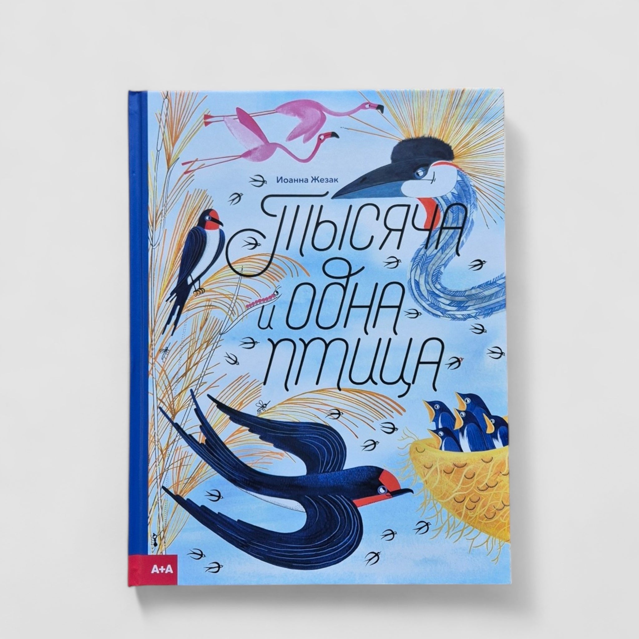 A thousand and one birds