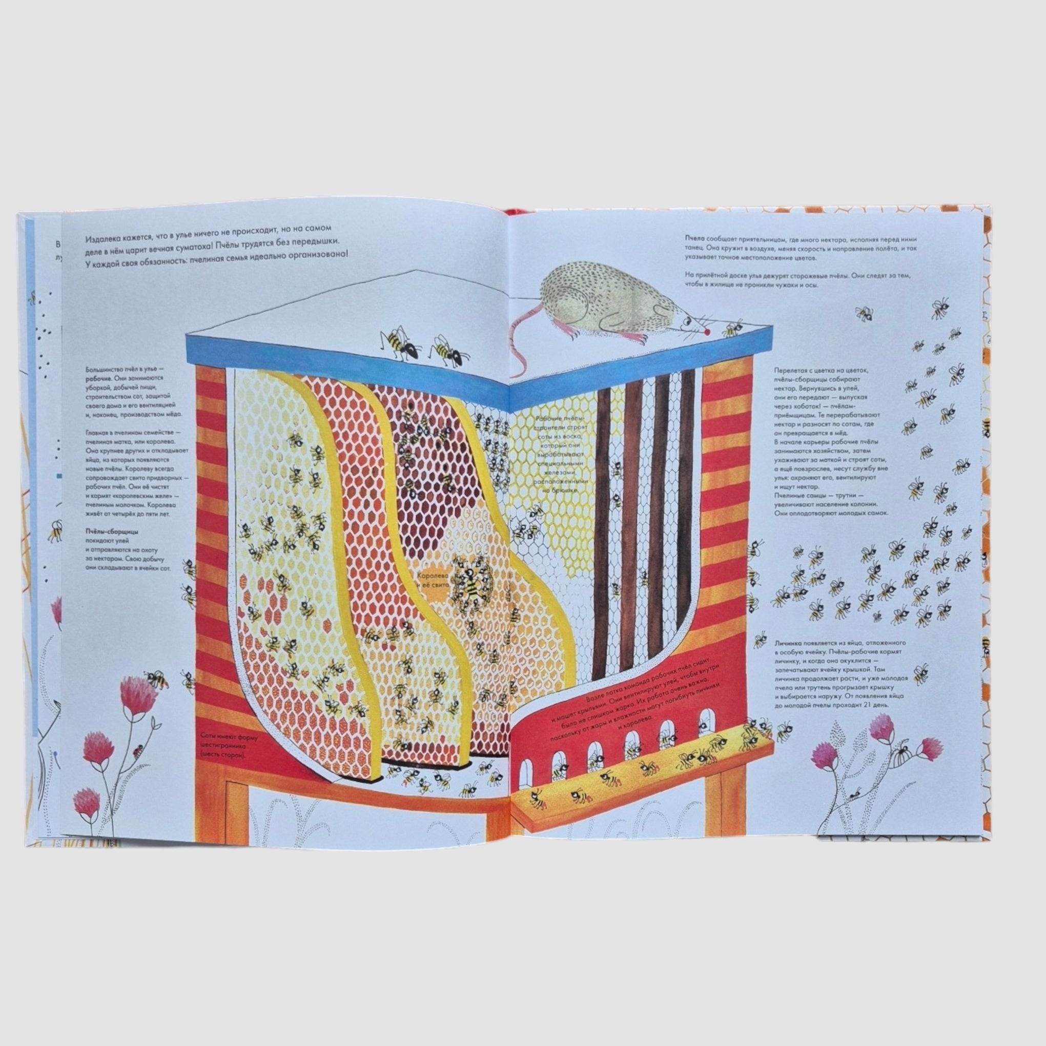 A thousand and one bees (external defect)