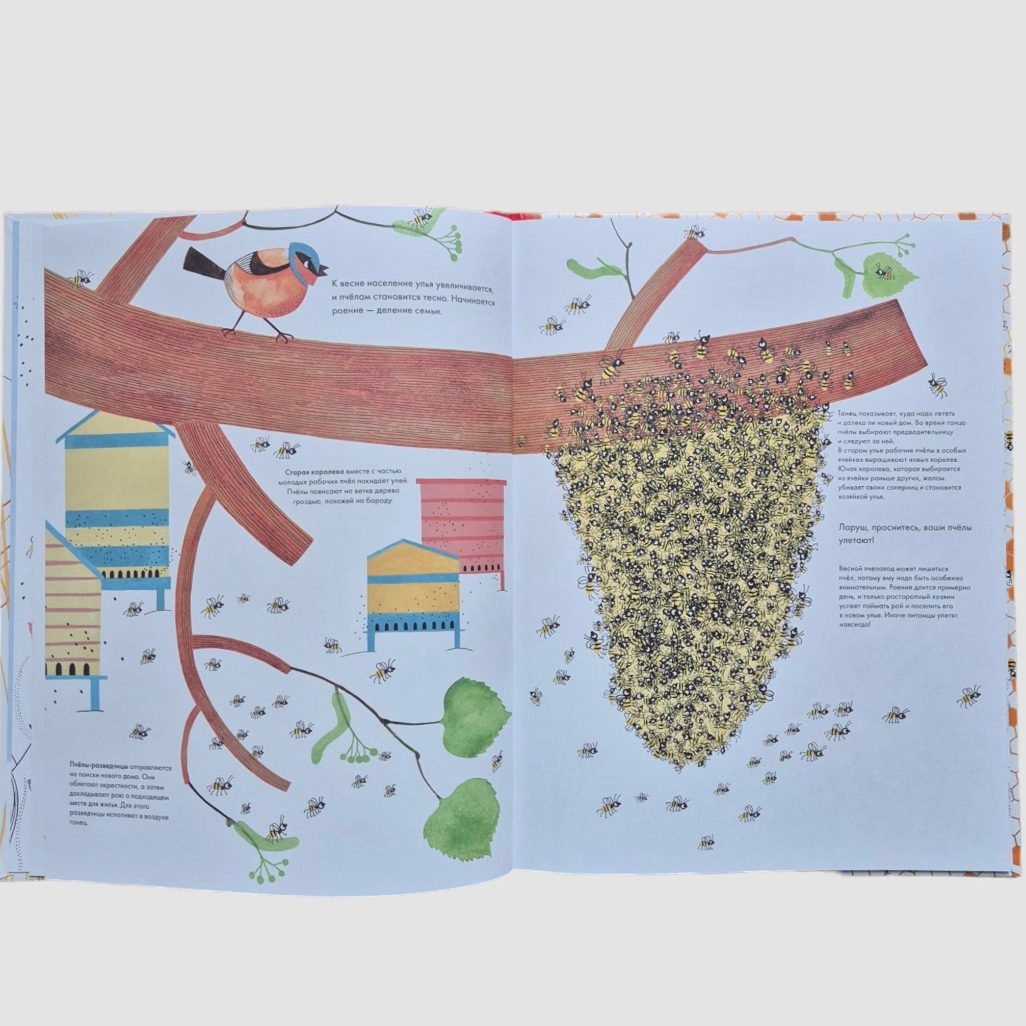 A thousand and one bees (external defect)