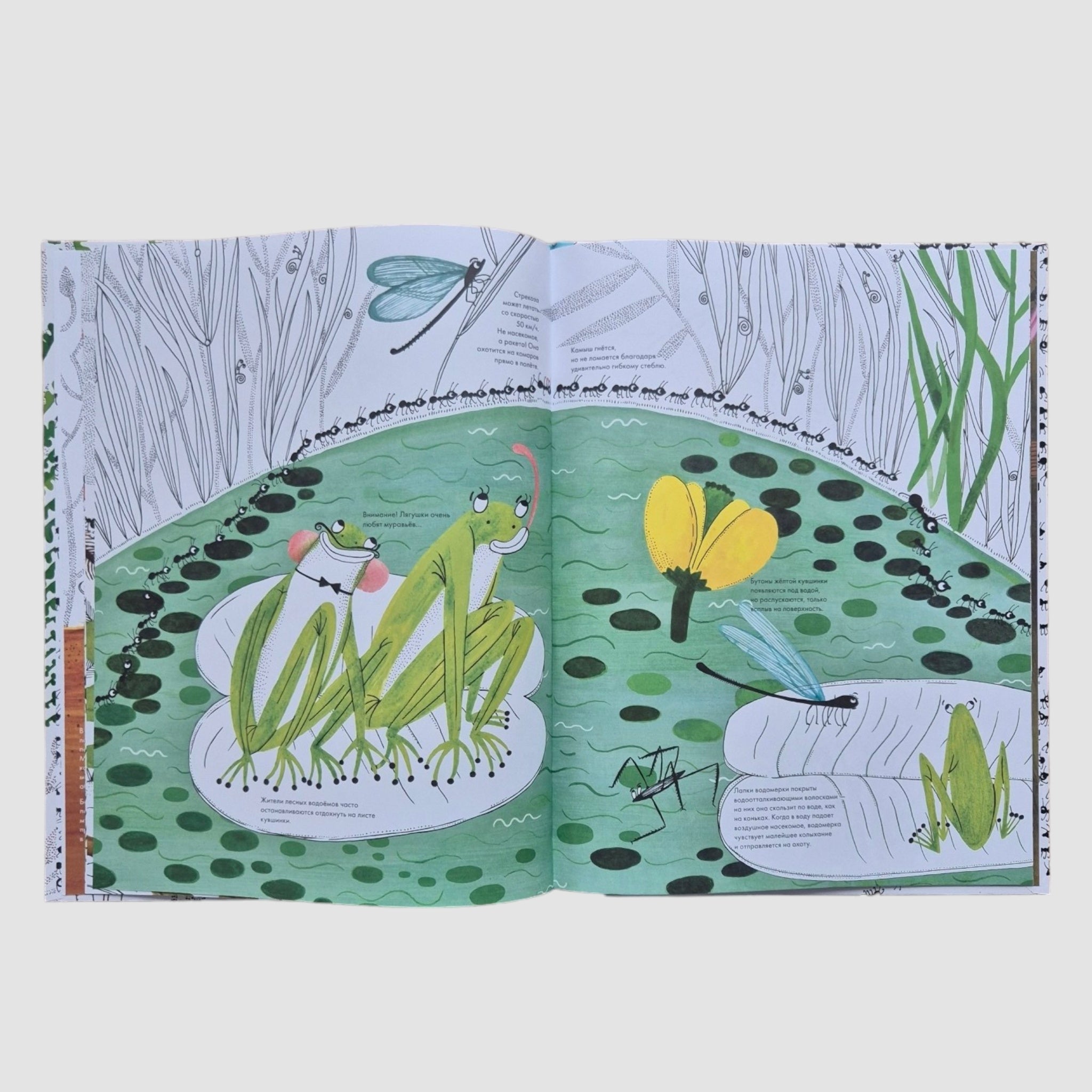 A thousand and one ants