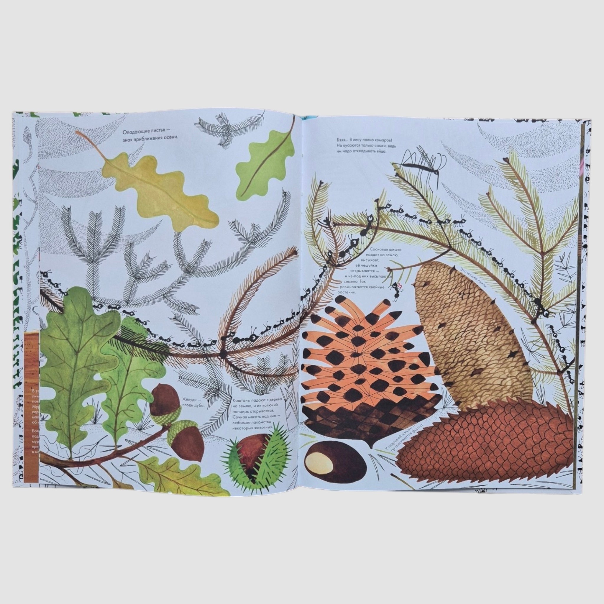 A thousand and one ants