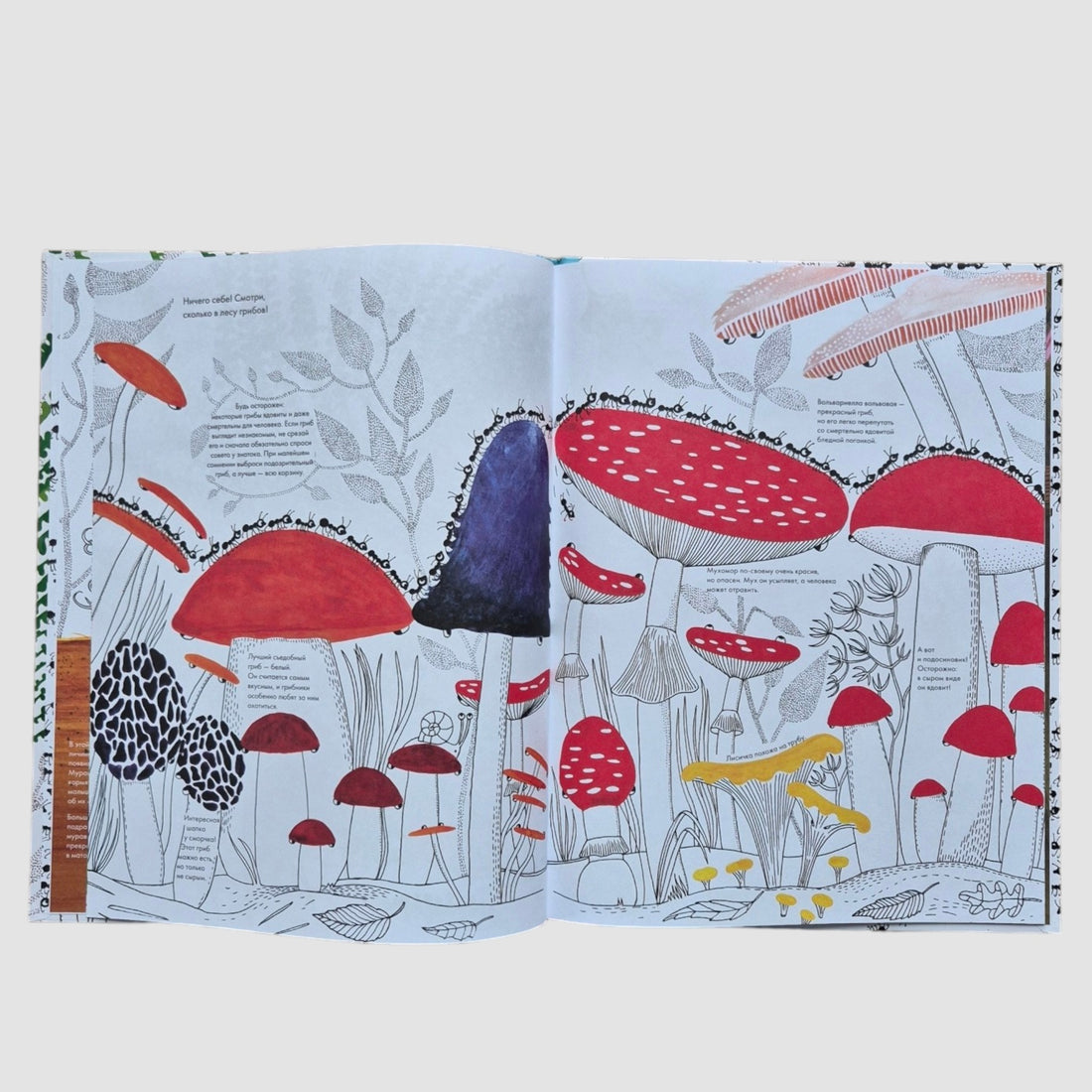 A thousand and one ants