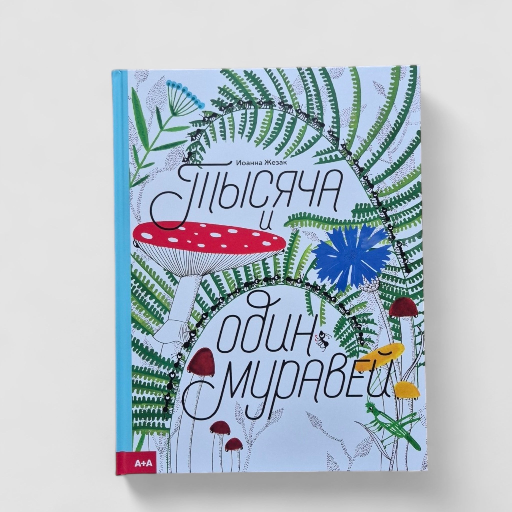 A thousand and one ants