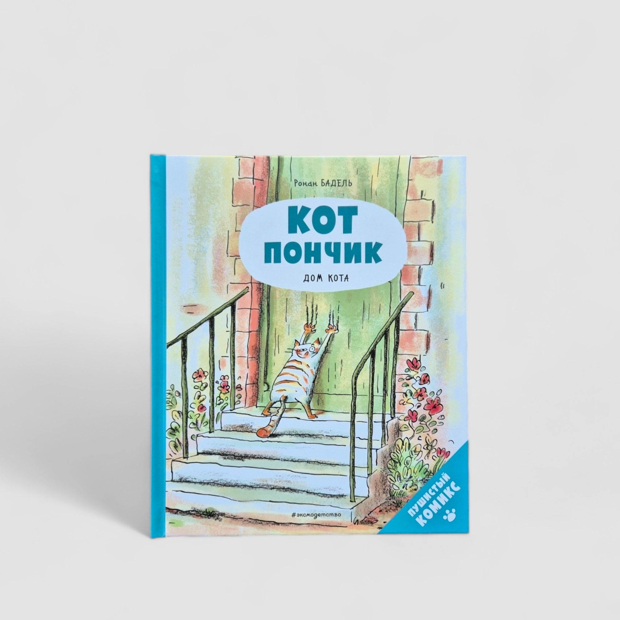 Кот Пончик. Дом кота