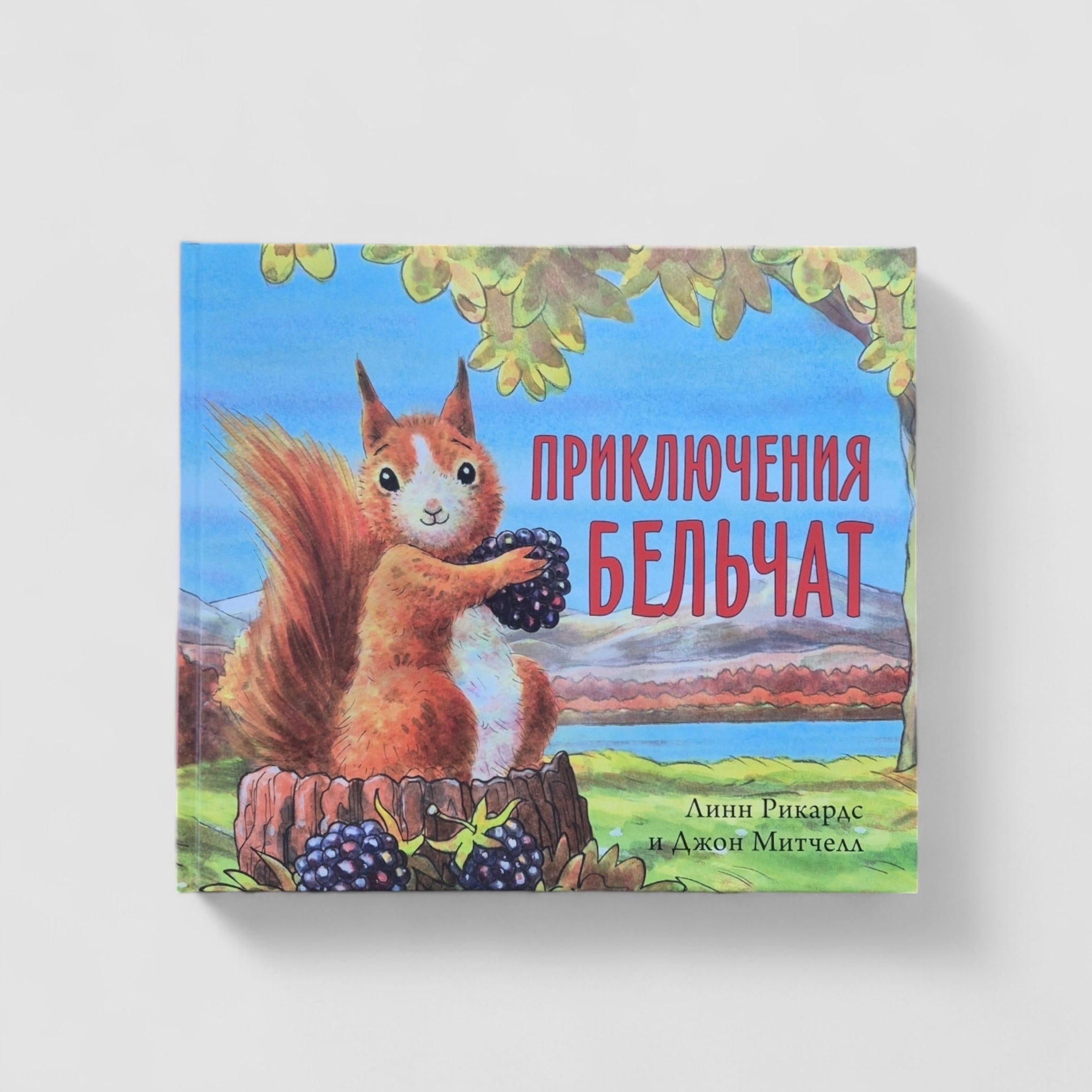 Приключения бельчат