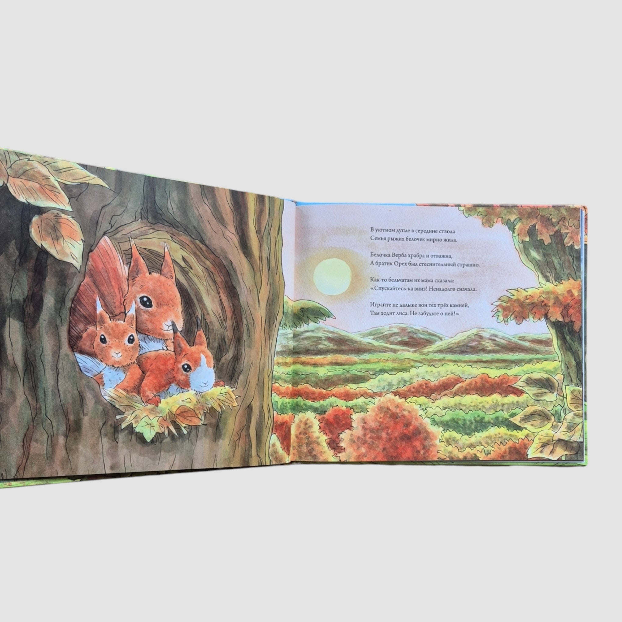 Приключения бельчат