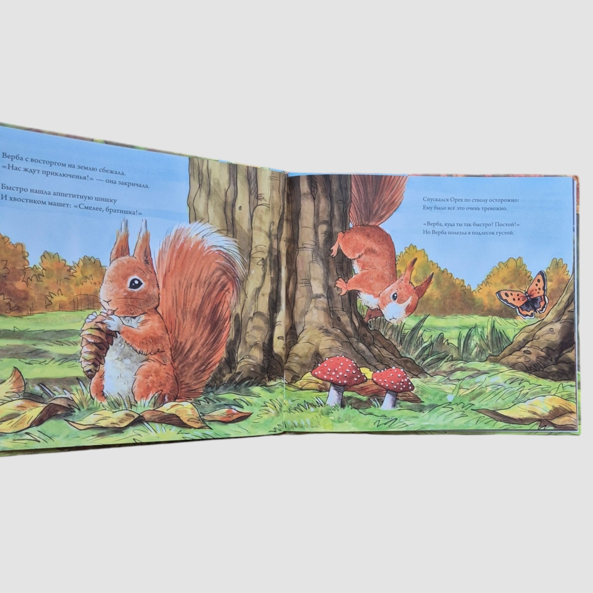 Приключения бельчат