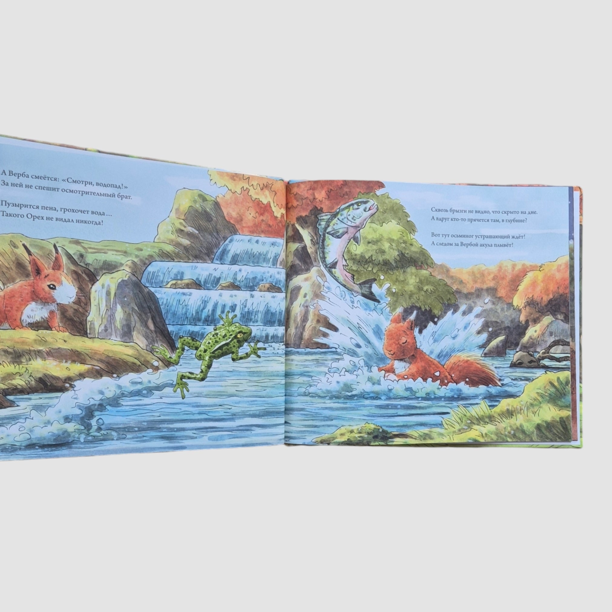 Приключения бельчат