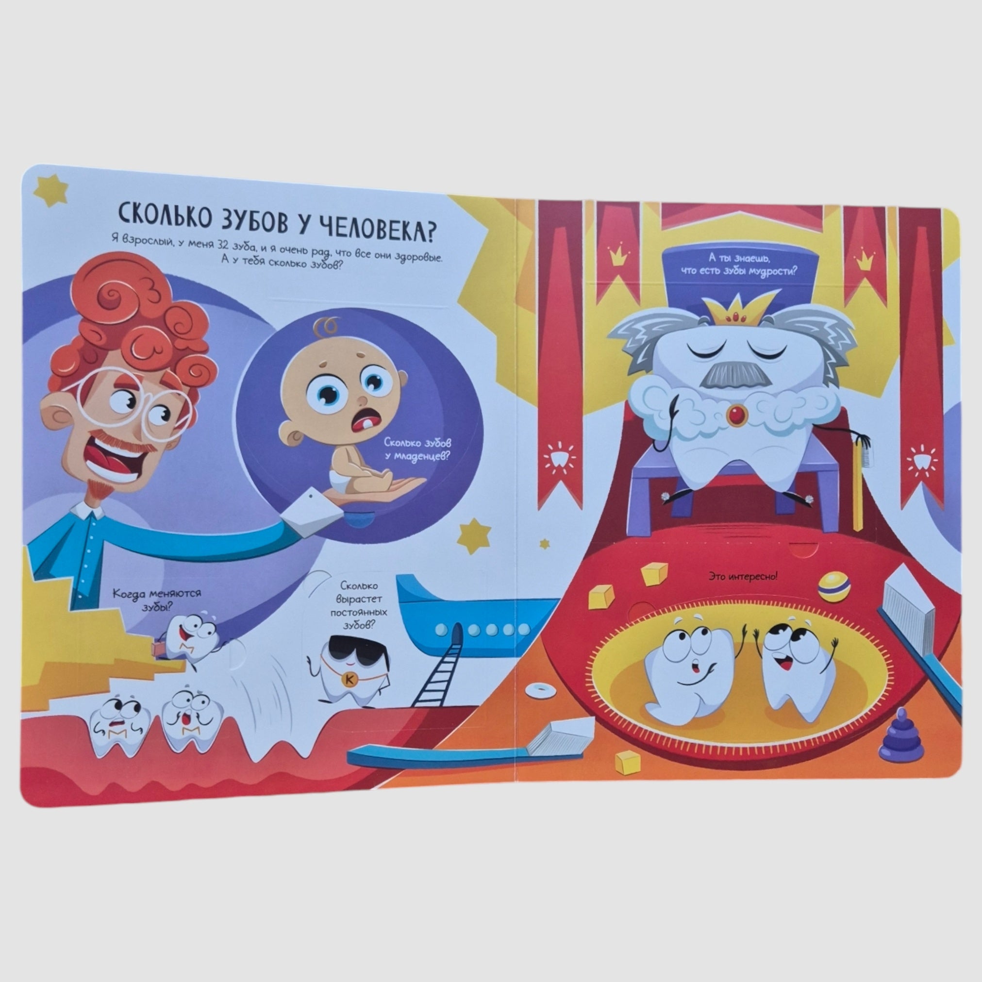 All about teeth. Open and study!