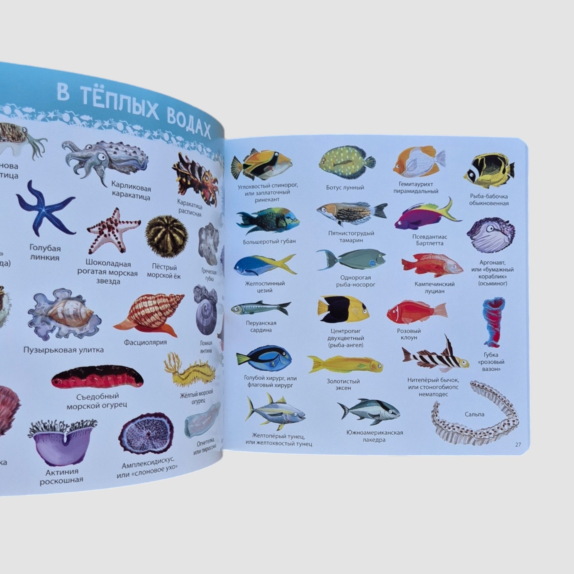 1000 картинок. Подводный мир