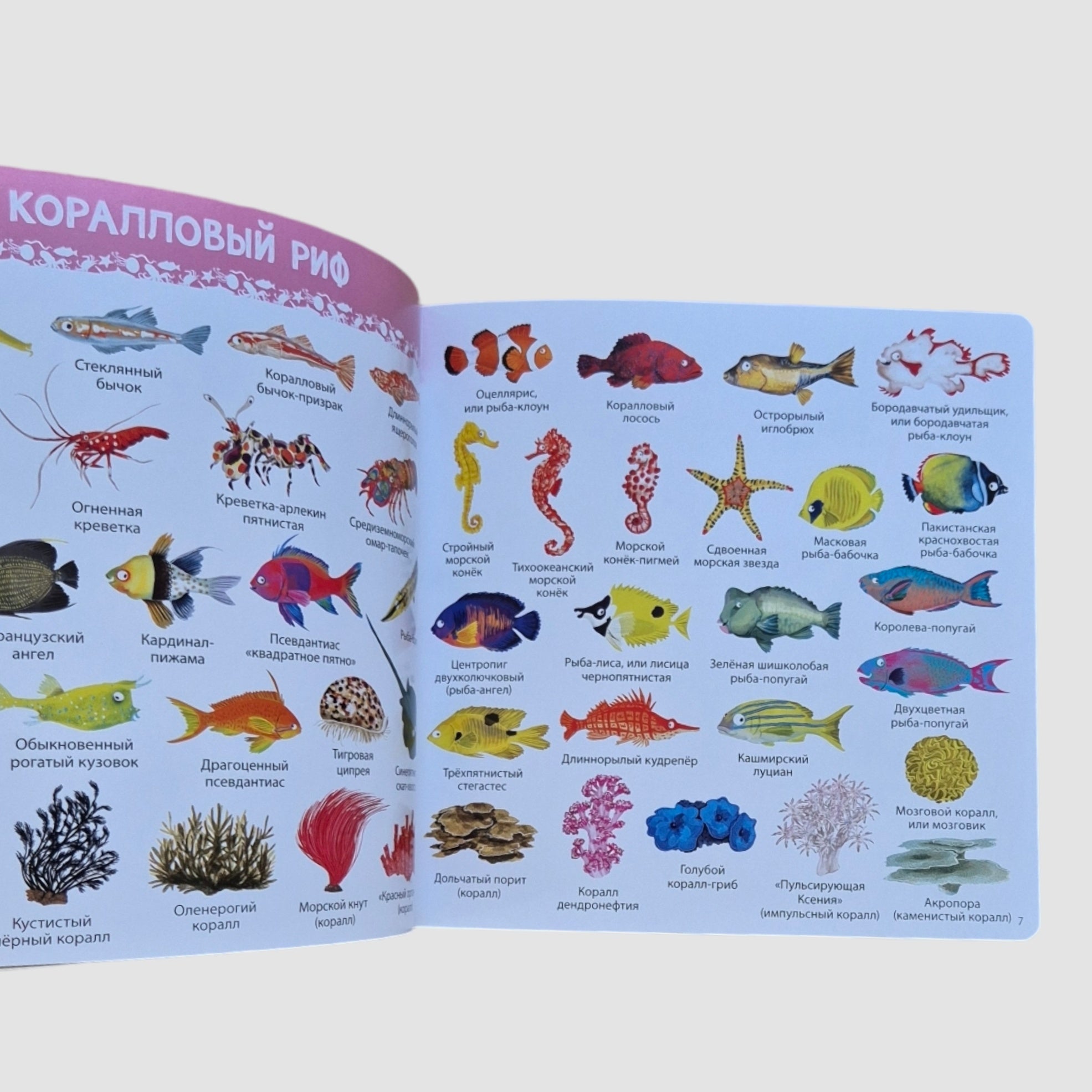 1000 картинок. Подводный мир