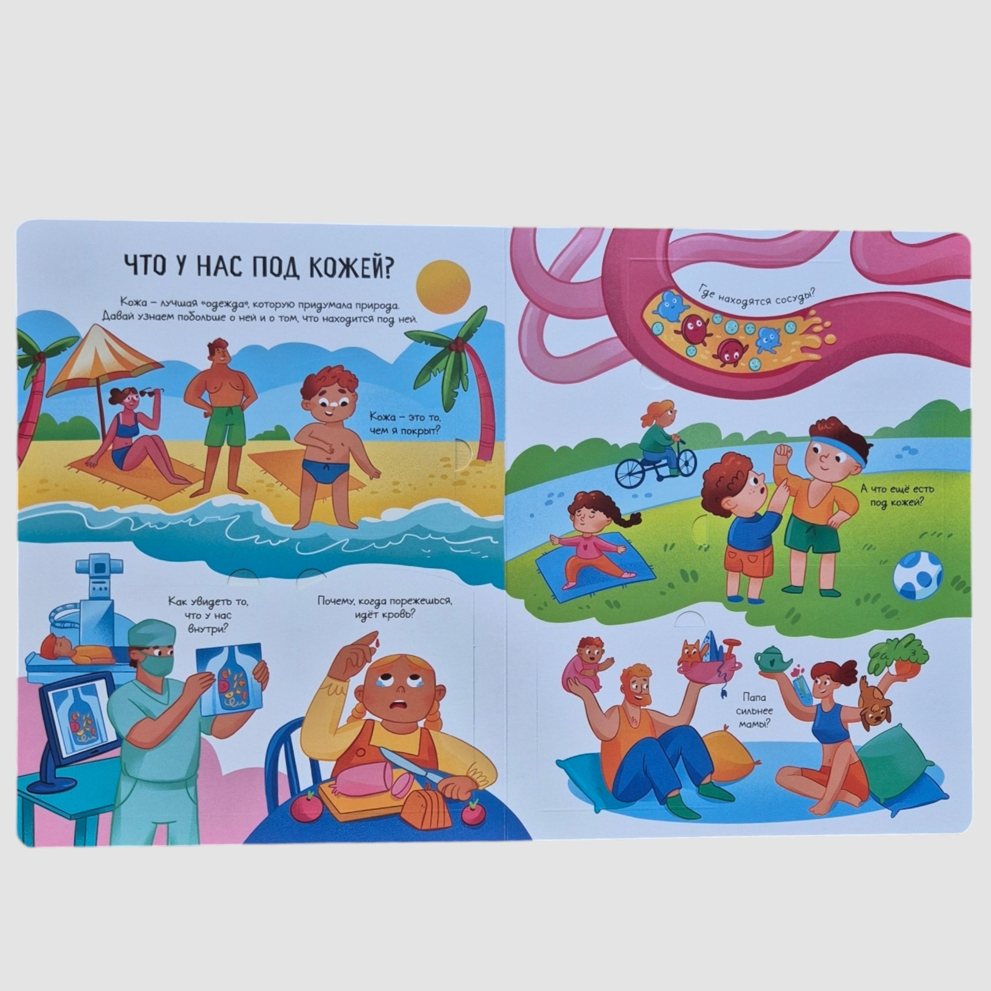 The human body. Open and study!