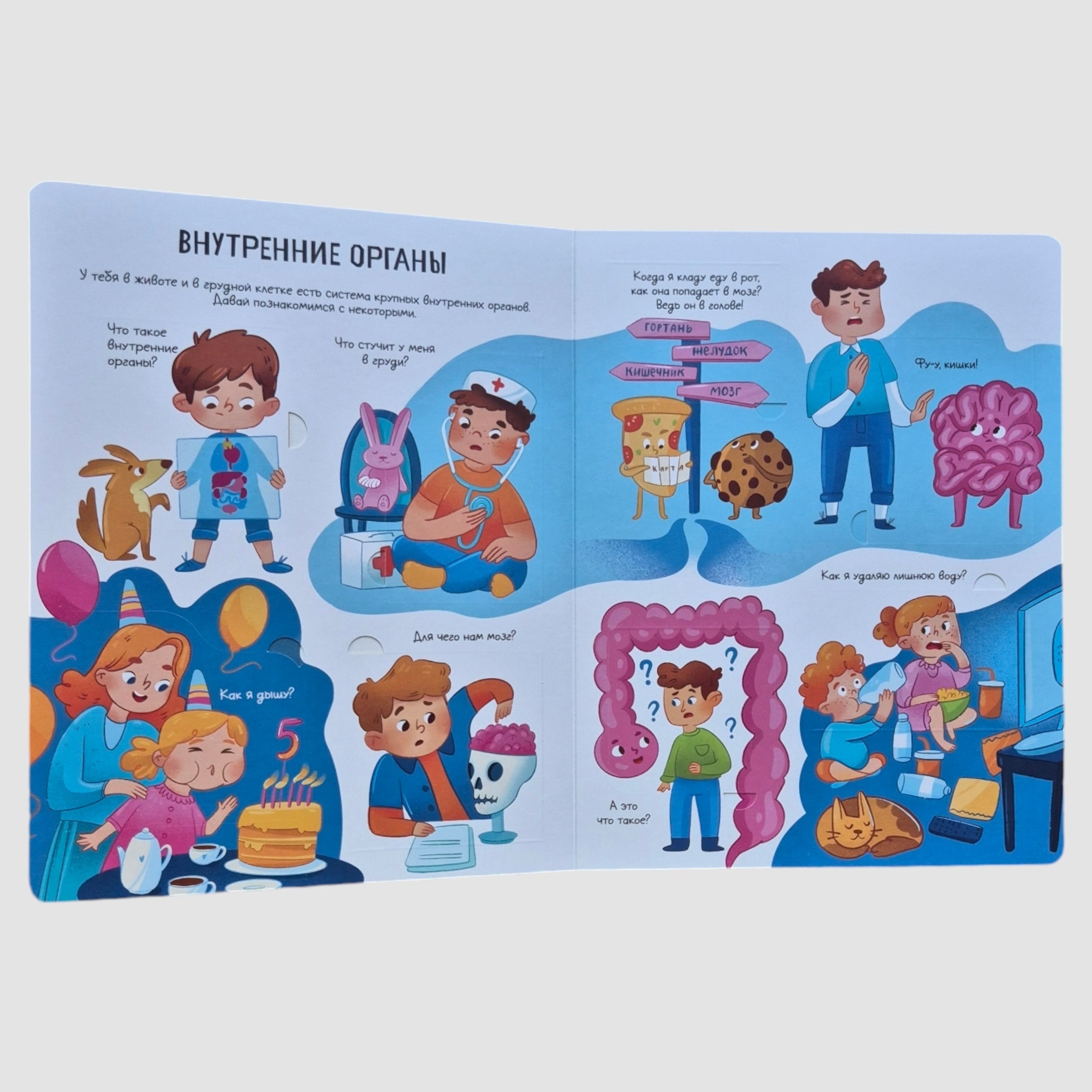 The human body. Open and study!