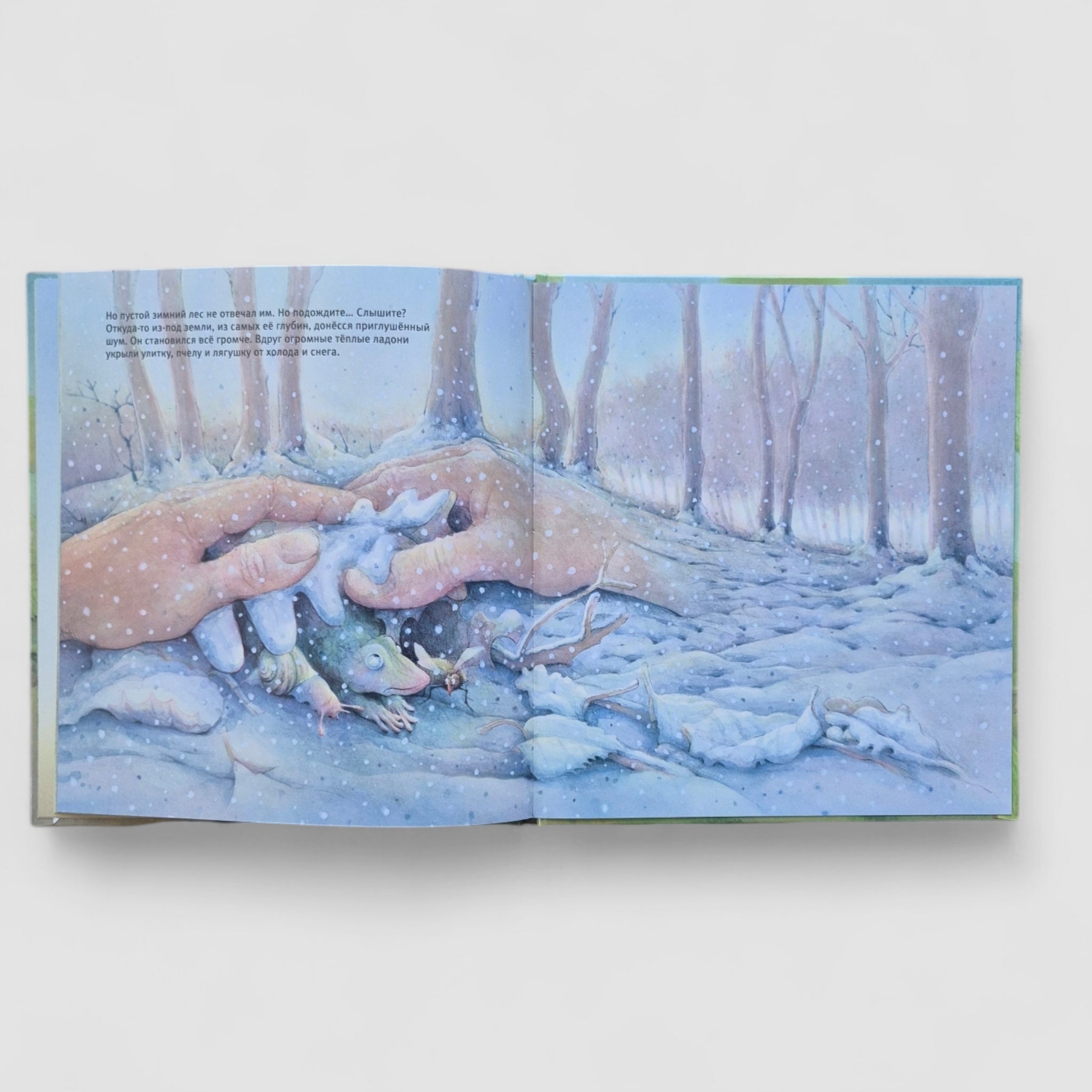 A snail, a bee and a frog are looking for snow