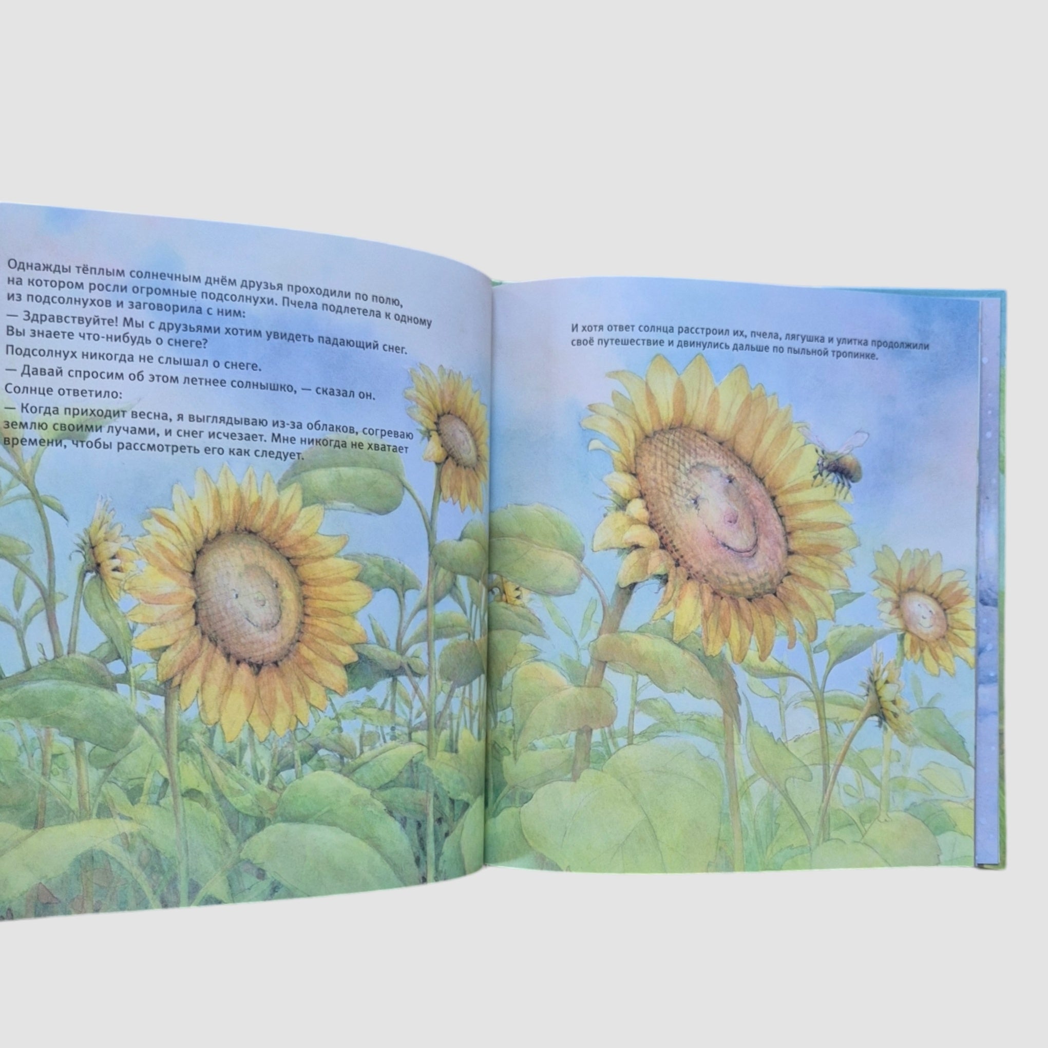 A snail, a bee and a frog are looking for snow