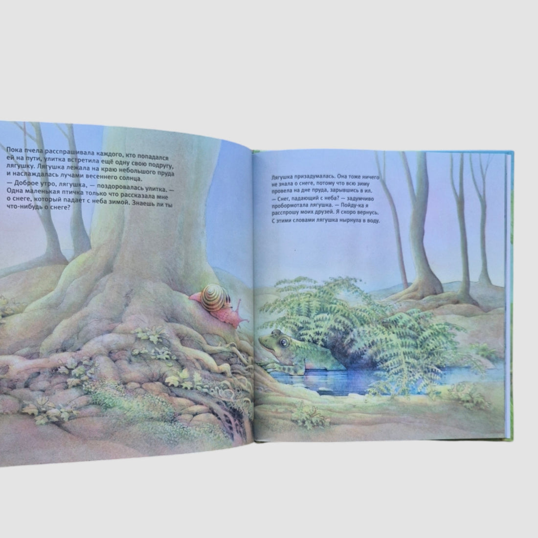 A snail, a bee and a frog are looking for snow