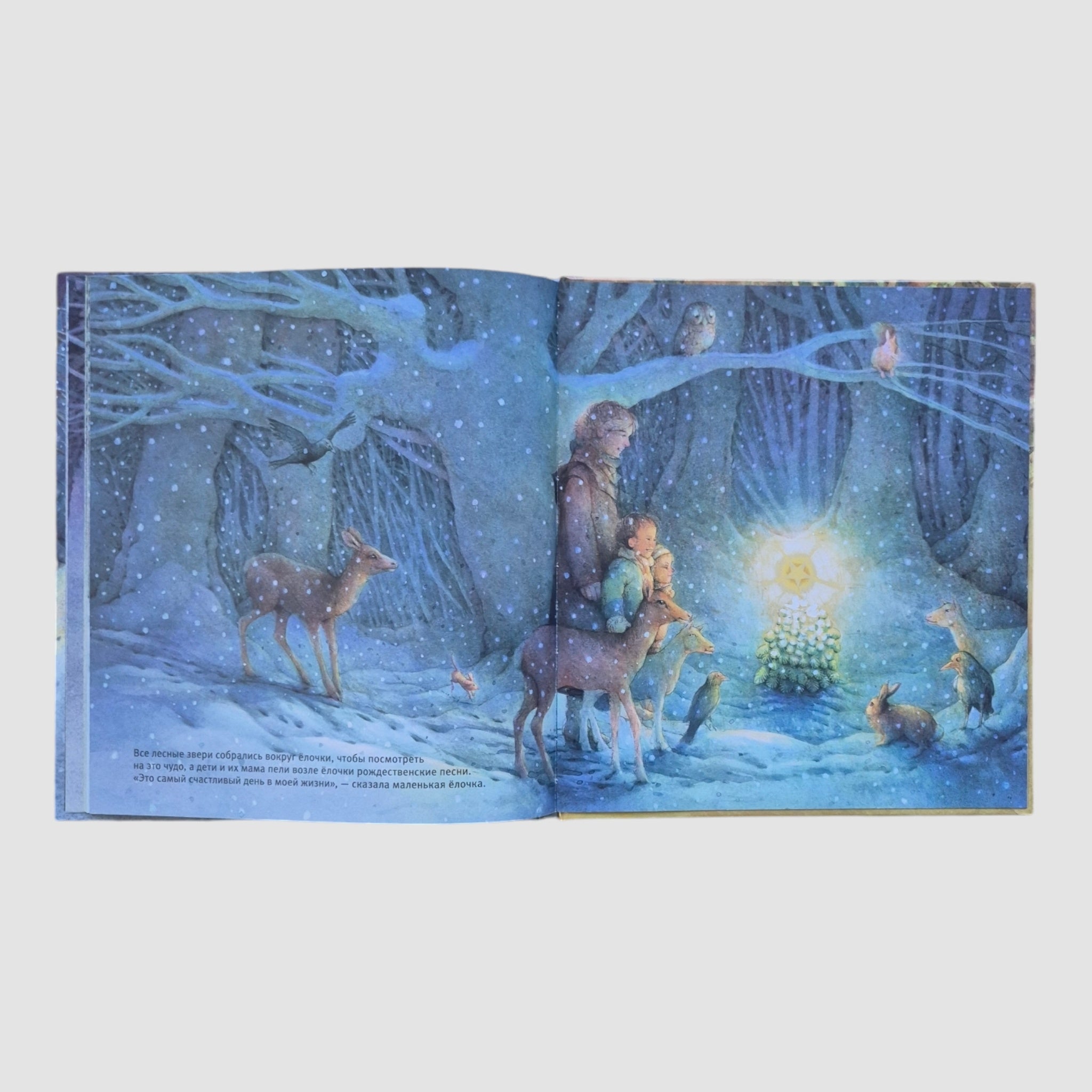 Little Christmas tree