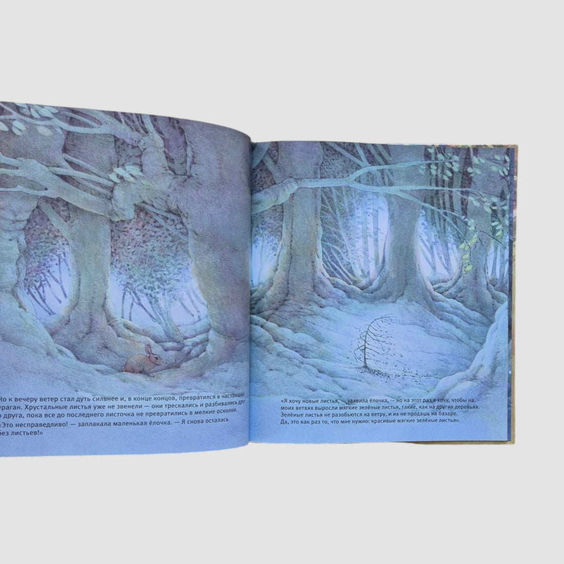 Little Christmas tree