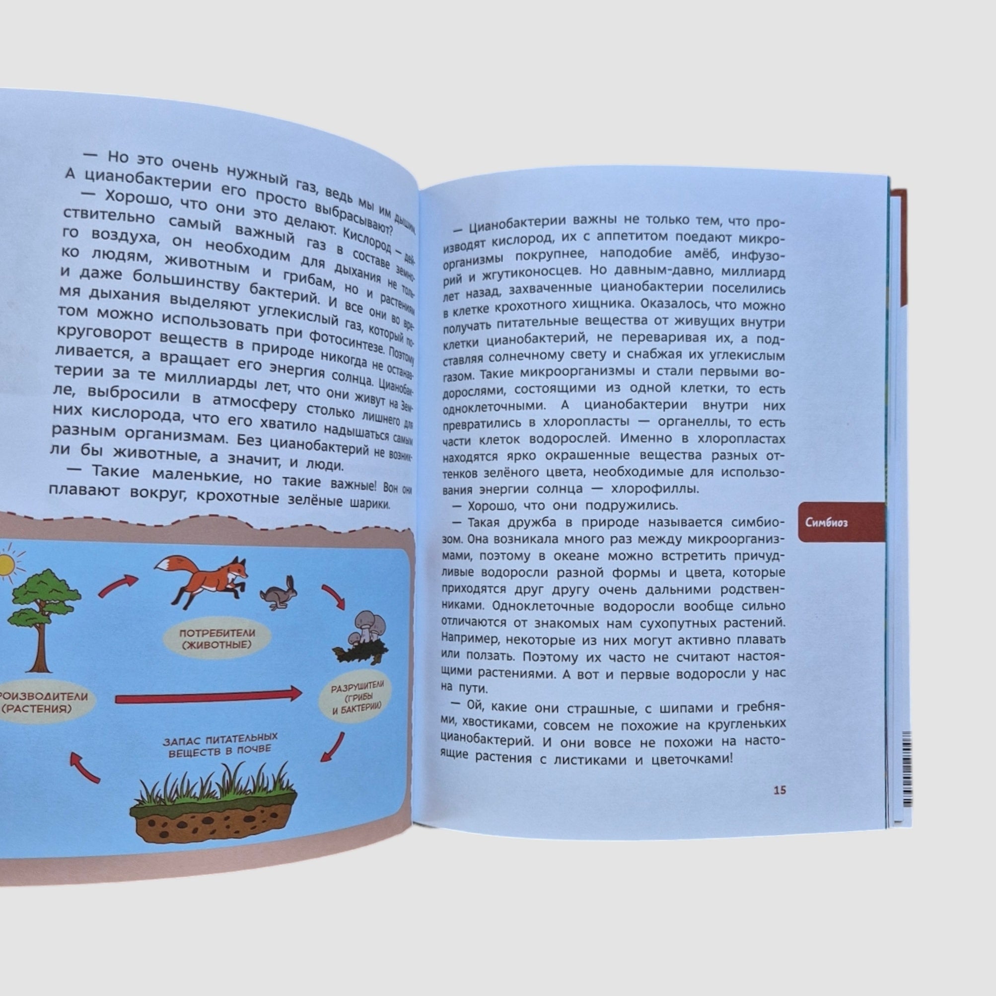 Plants and Mushrooms. Children's Encyclopedia (Chevostik)