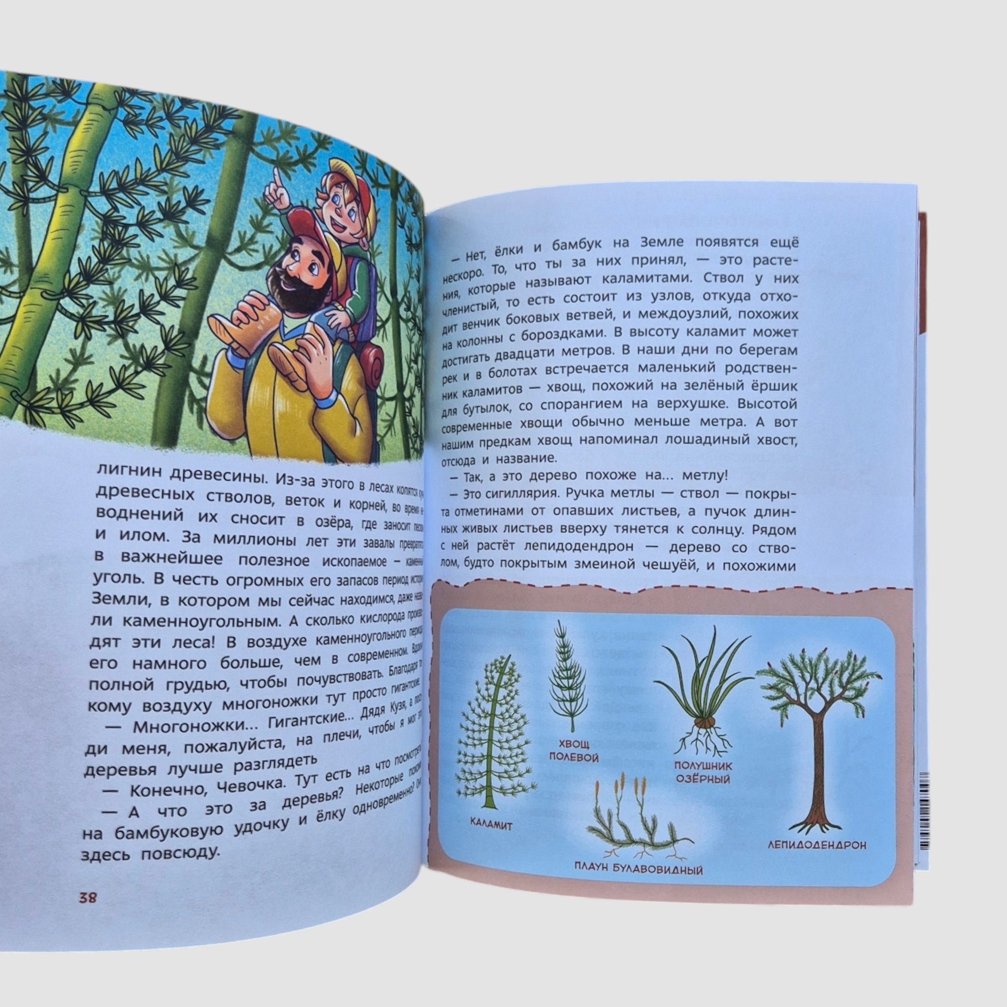Plants and Mushrooms. Children's Encyclopedia (Chevostik)