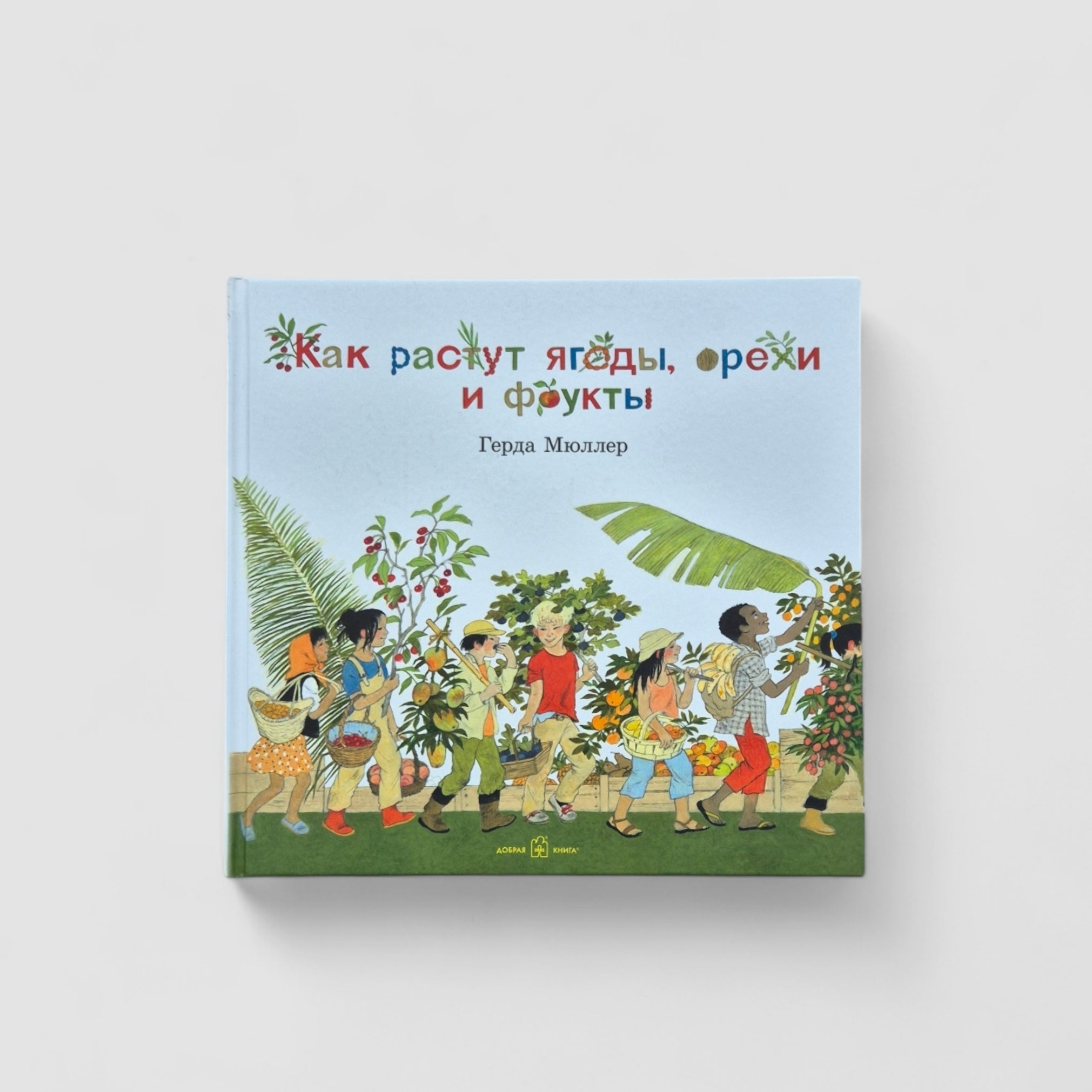 How do berries, nuts and fruits grow?