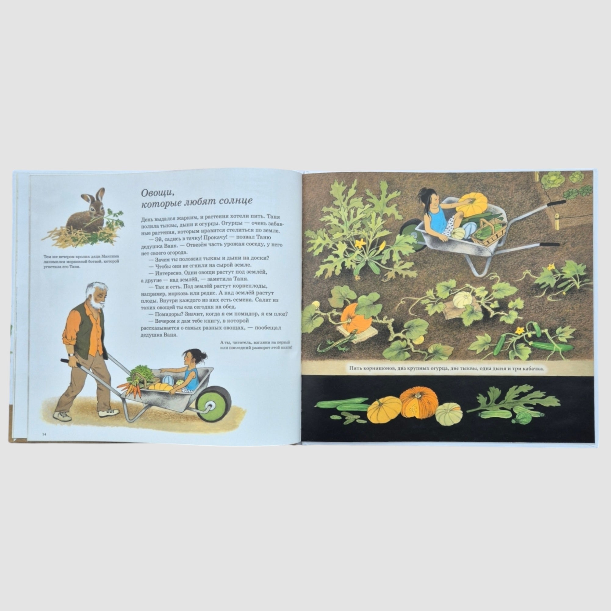 How do vegetables grow?