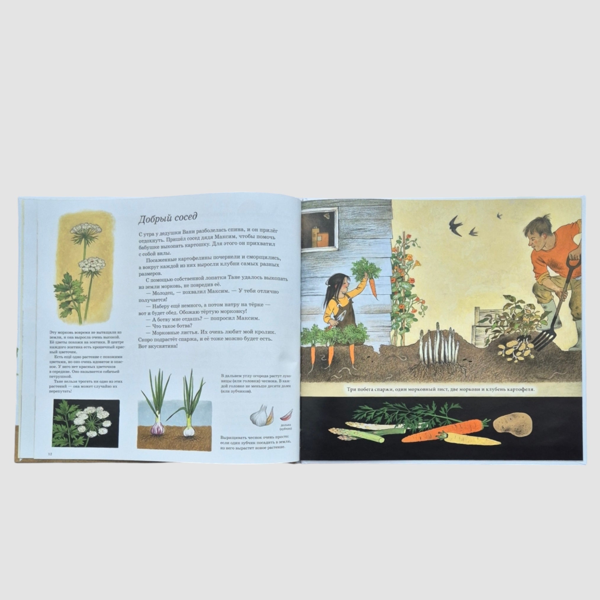 How do vegetables grow?