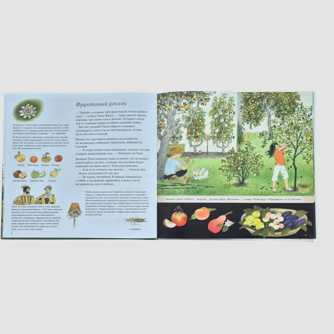 How do berries, nuts and fruits grow?