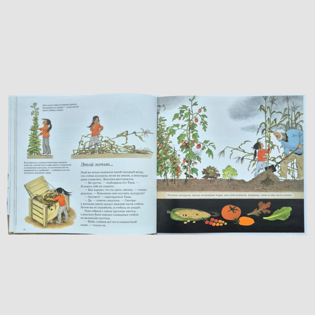 How do vegetables grow?